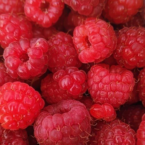 Fresh raspberries make the tangy coulis for our delicious Raspberry and White chocolate gelato.

One of our most popular flavours - its a moment of pure delight!

#lovegelato #mellabella #yum