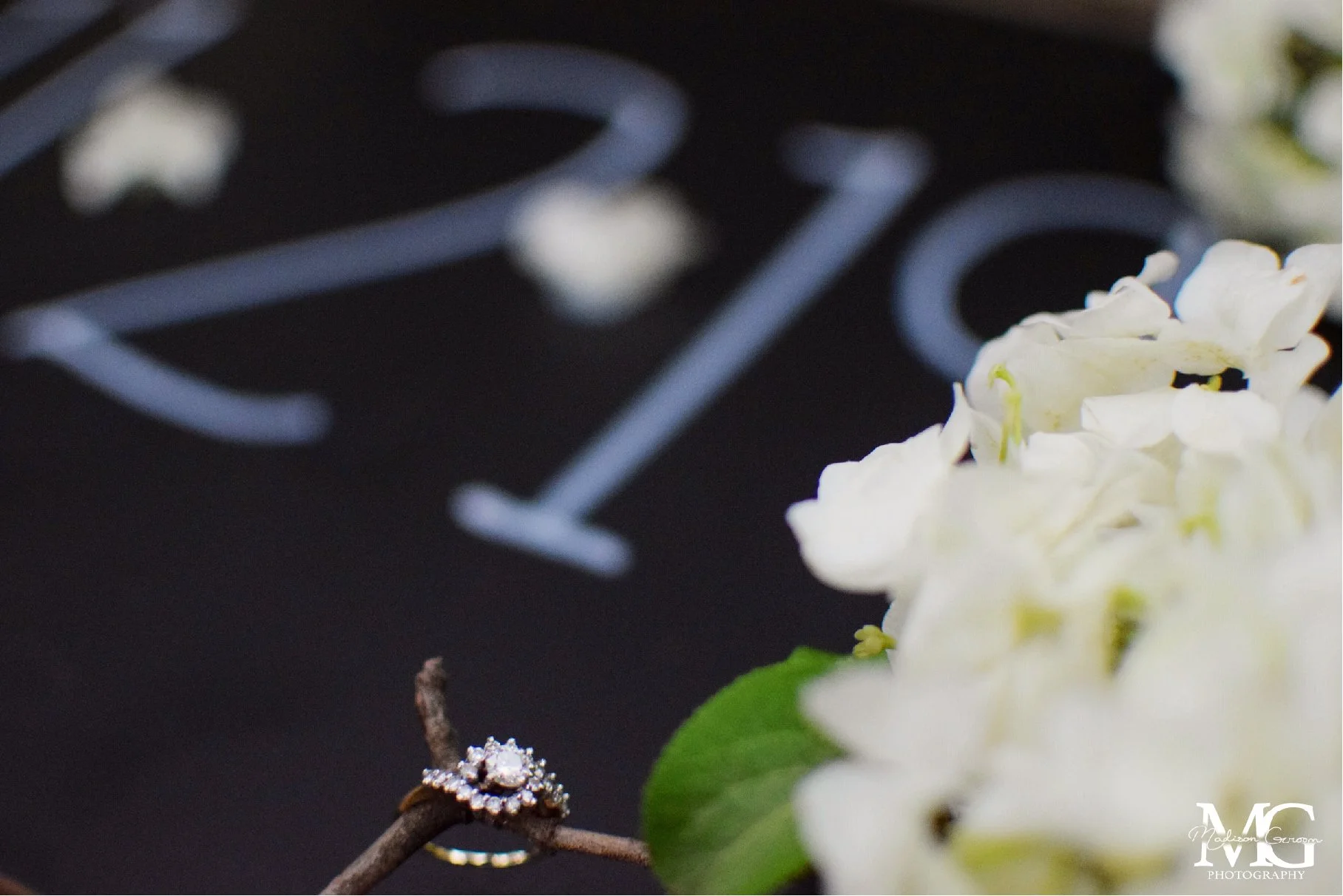 ring on branch WM.jpg