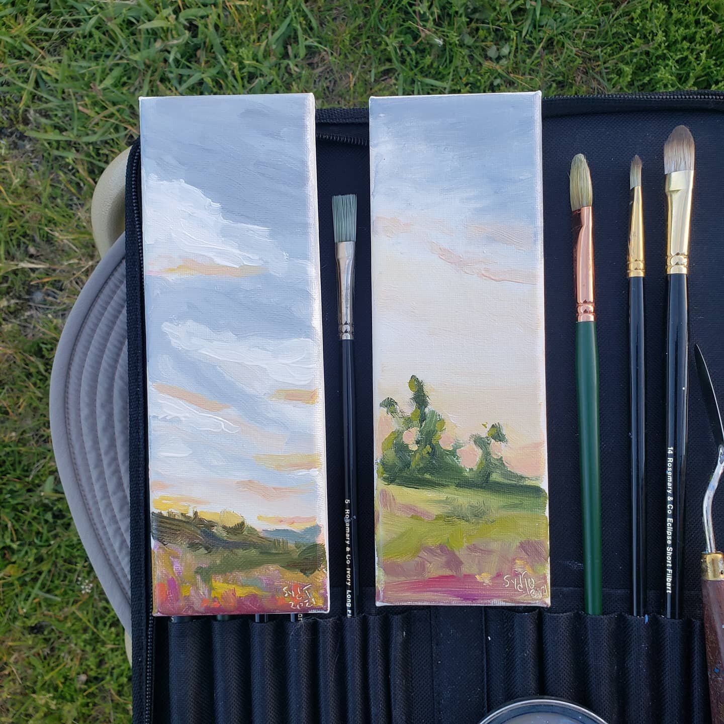 Pulled out my oils for the first time in a long time for the Hameau Artists Retreat Sunset Paint out!
It was wonderful to just relax and enjoy the beautiful landscape 🖼️

#pleinair #pleinairpainting #pleinairartist #pleinairpainter #pennsylvaniaart 