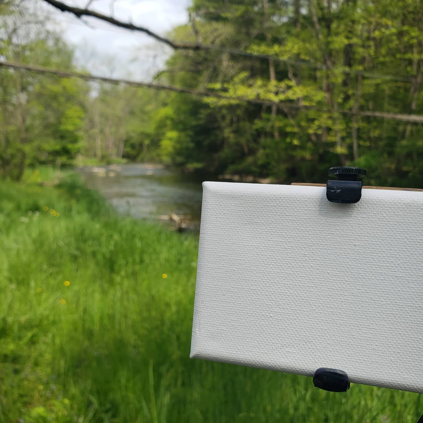 Here are some more photos from the Hameau Artist Retreat at Hameau Farm in Belleville, PA taught by @susannicholasart. This day we went painting down at Kish Creek, which was absolutely gorgeous!

#hameauartistsretreat #hameaufarm #snicholasart #susa