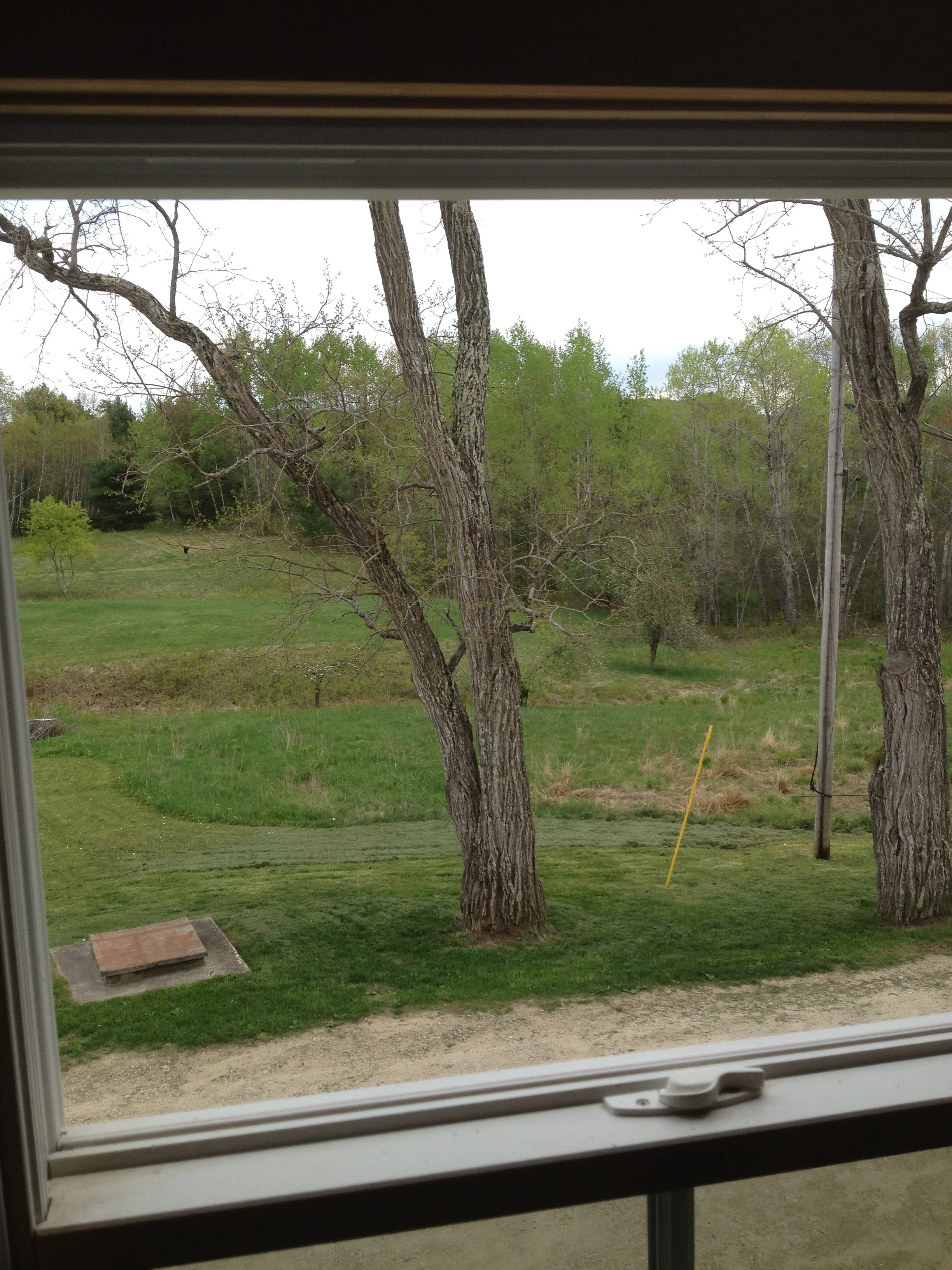 Dayton view window.jpeg