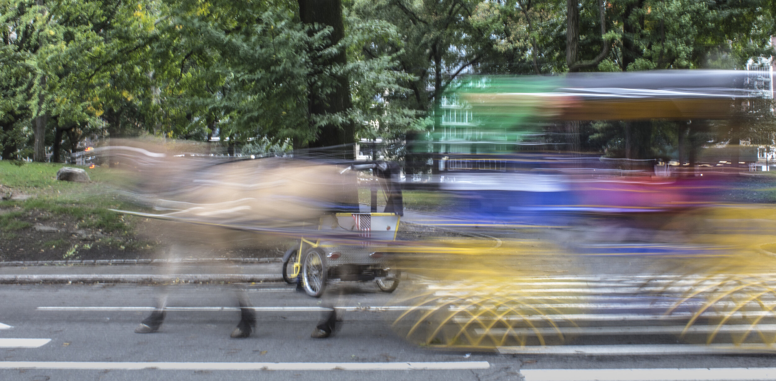 Central Park ∙ New York, NY