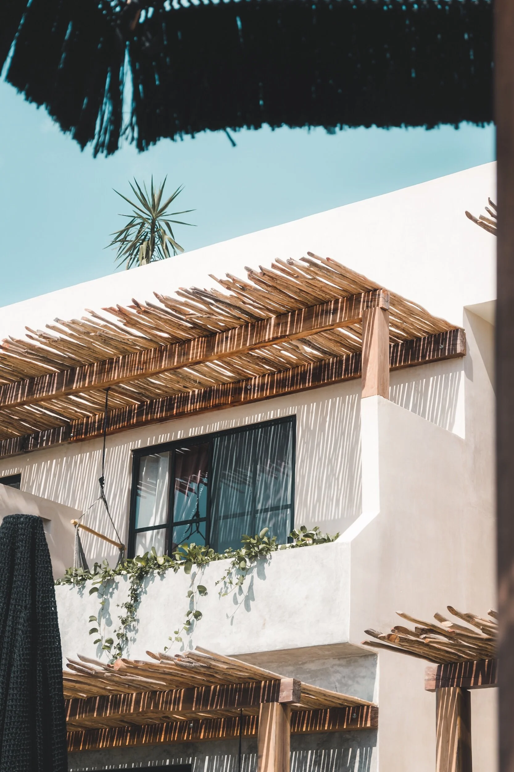 El nido -  detail exterior 2.jpeg