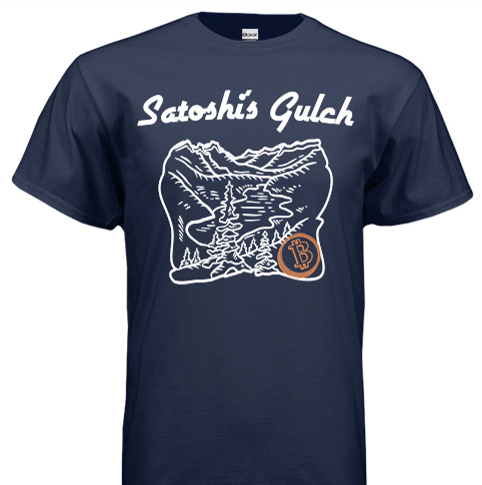TshirtNAVY2.png