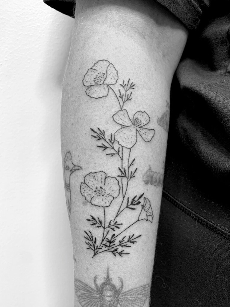 Share more than 138 desert rose tattoo best