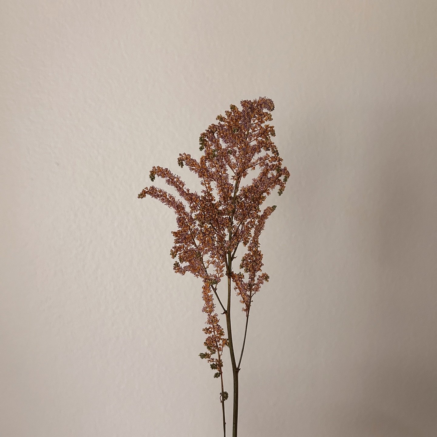 ✨ Sneak peek of this wedding bouquet preservation! I love sharing the progress of pressed flowers as they dry &mdash; it&rsquo;s amazing to see how each bloom and piece of greenery transforms in the press. These soft, muted tones are going to look ab