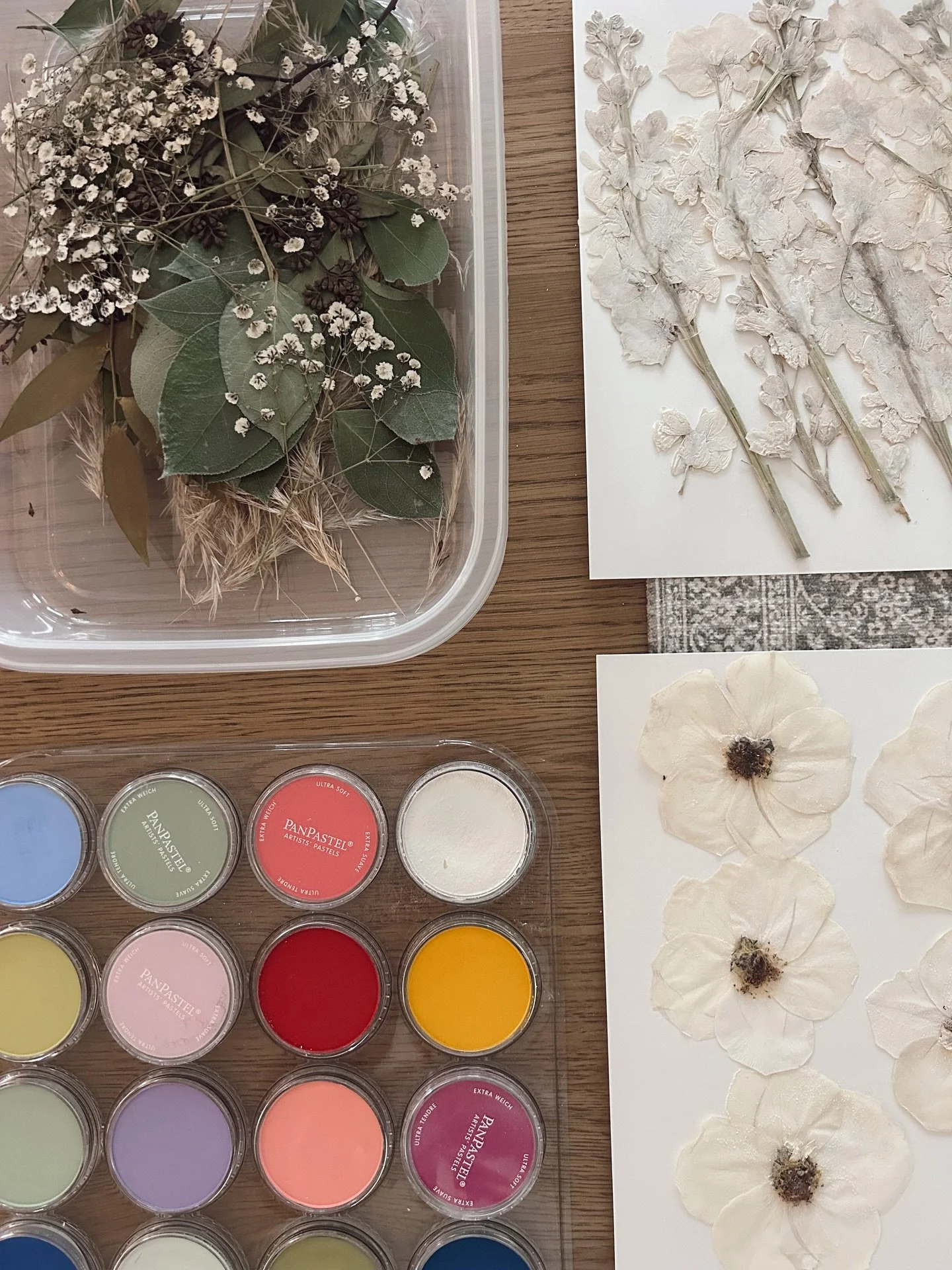 It&rsquo;s been a little quiet over here but things are still moving! 💕 Doing some color correcting today. Can&rsquo;t wait to see this one in layout! 🤍🥰🌿