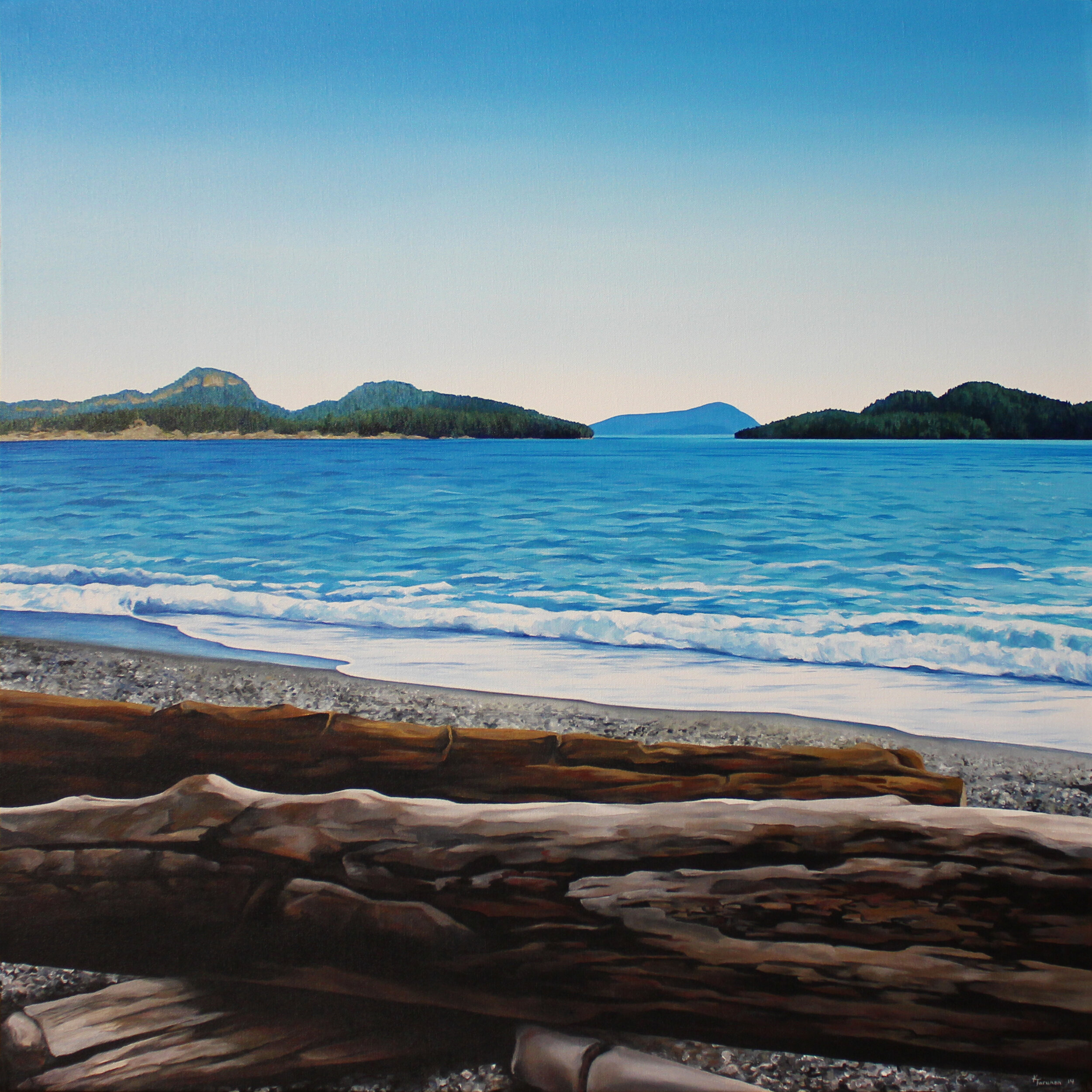 DRIFTWOOD ON THE BEACH,
Acrylic on Canvas,
36" x 36",
SOLD