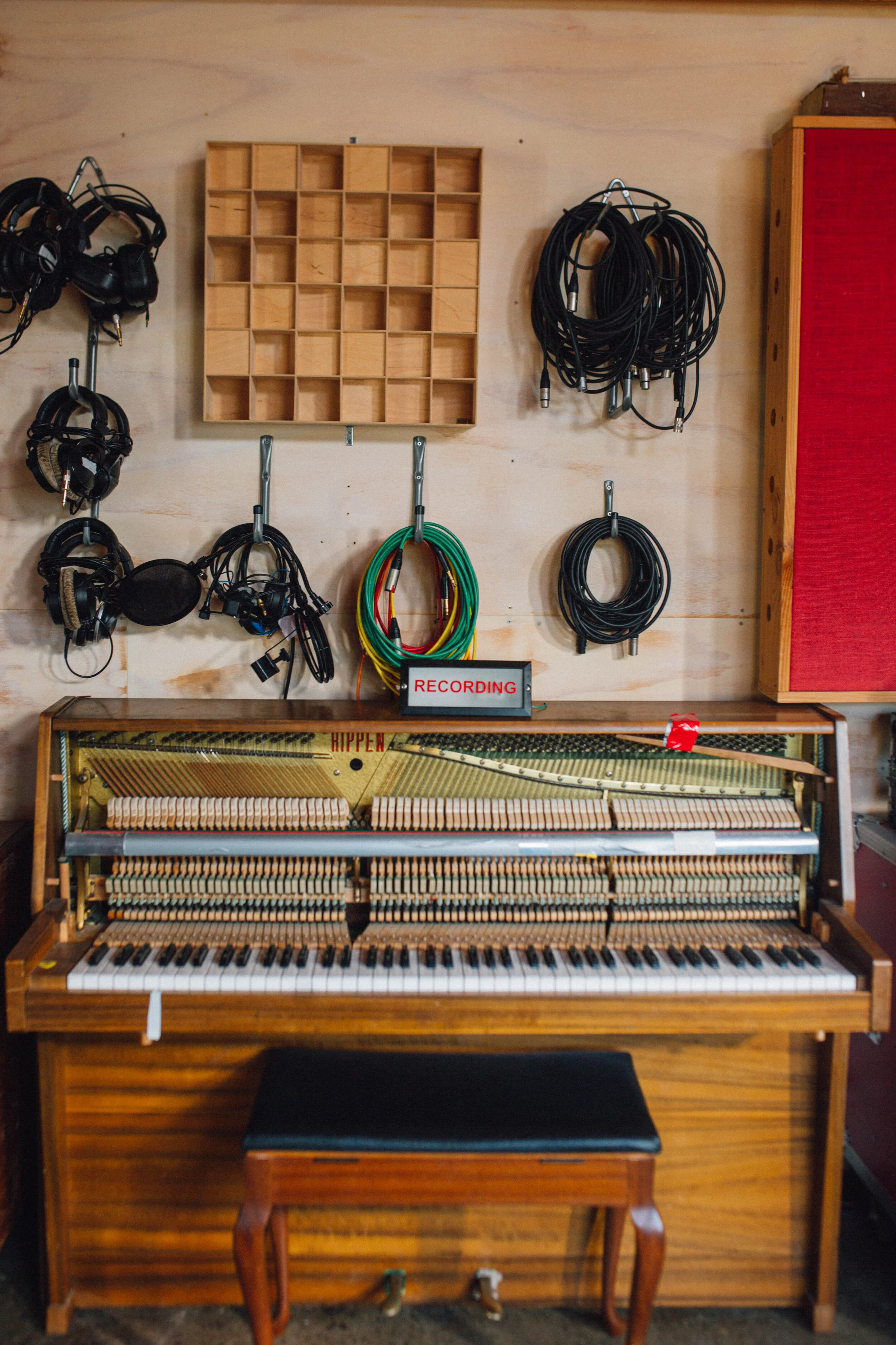 Musician recording in the studio