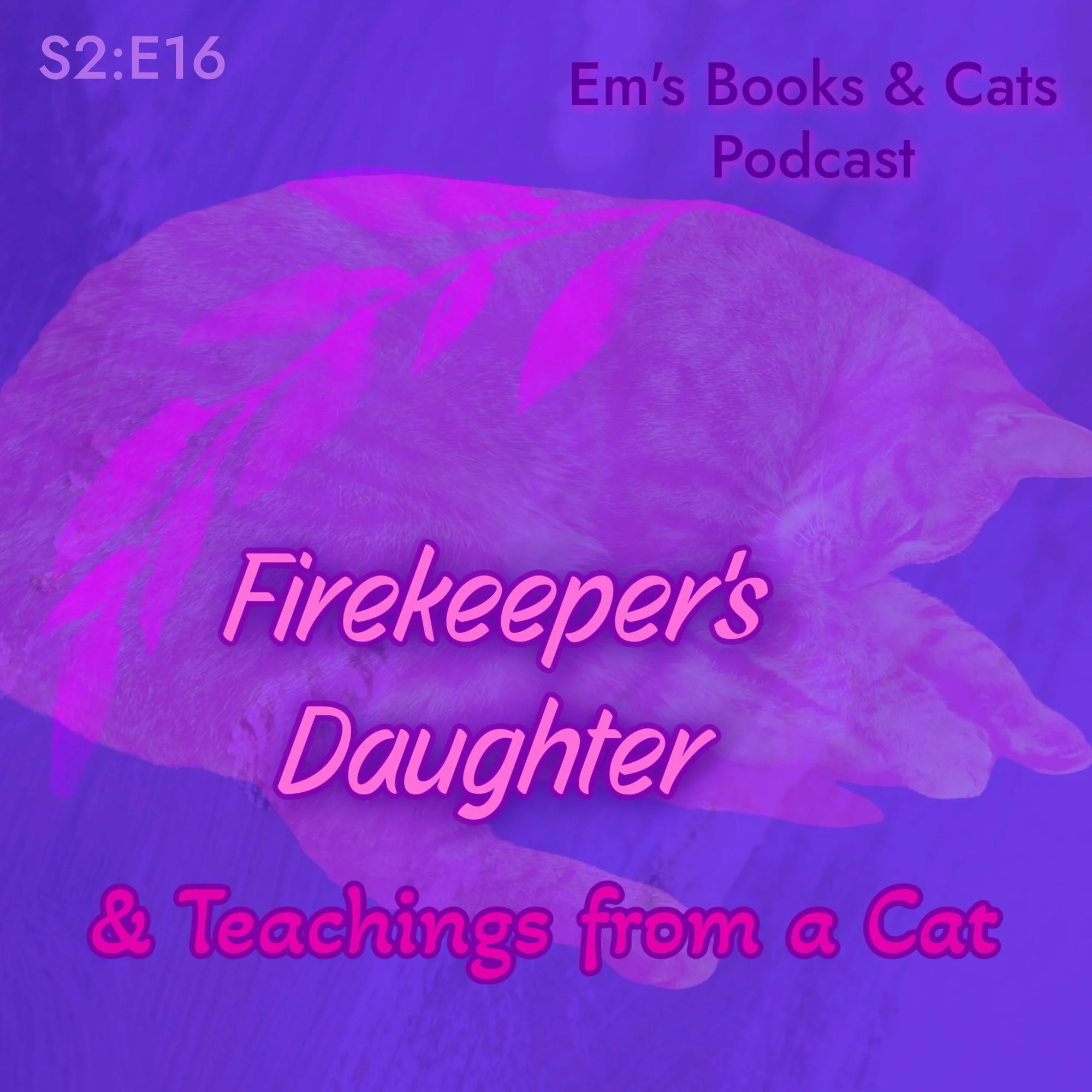 Firekeeper’s Daughter & Teachings From A Cat