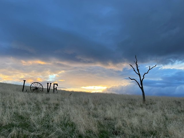 image2 (2).jpeg