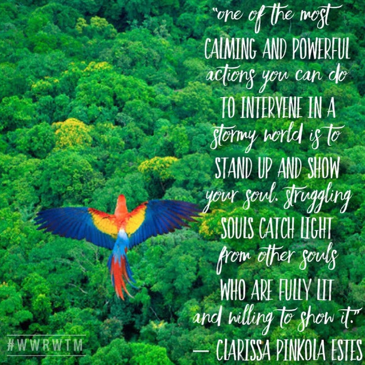 Courage, souls!

We&rsquo;re doing it! 🕊🔥💚🌈✨

#showup
#dothework
#getlit
#catchlight
#belight
#shinelight
#letsdothis

@womenwhorunwiththemoon