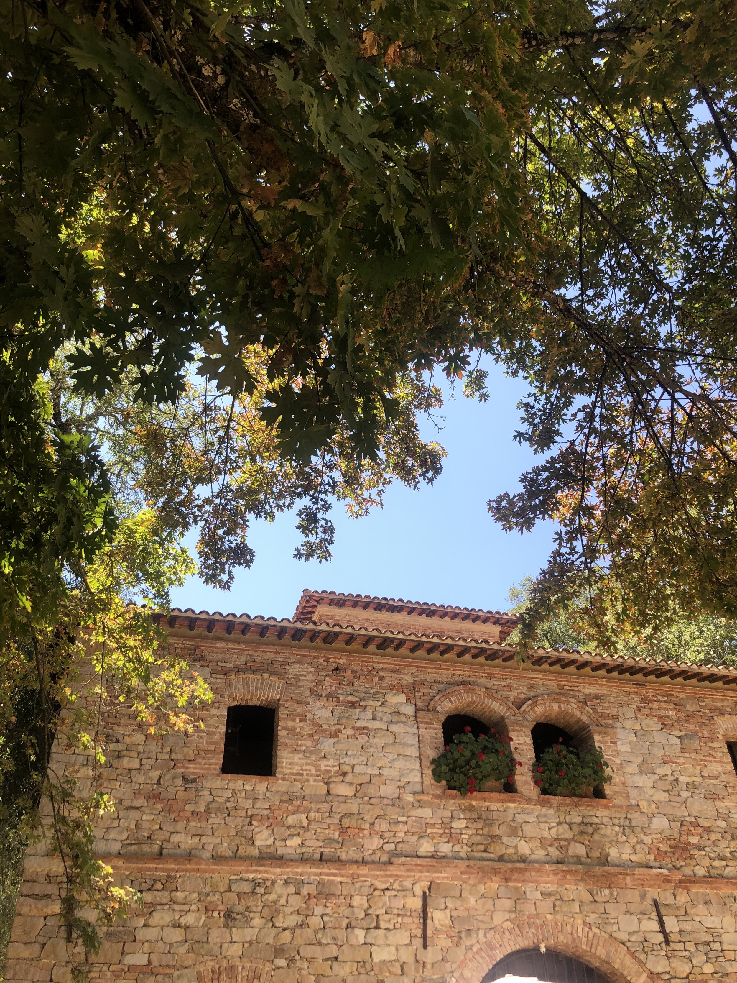 IMG_6751.jpeg