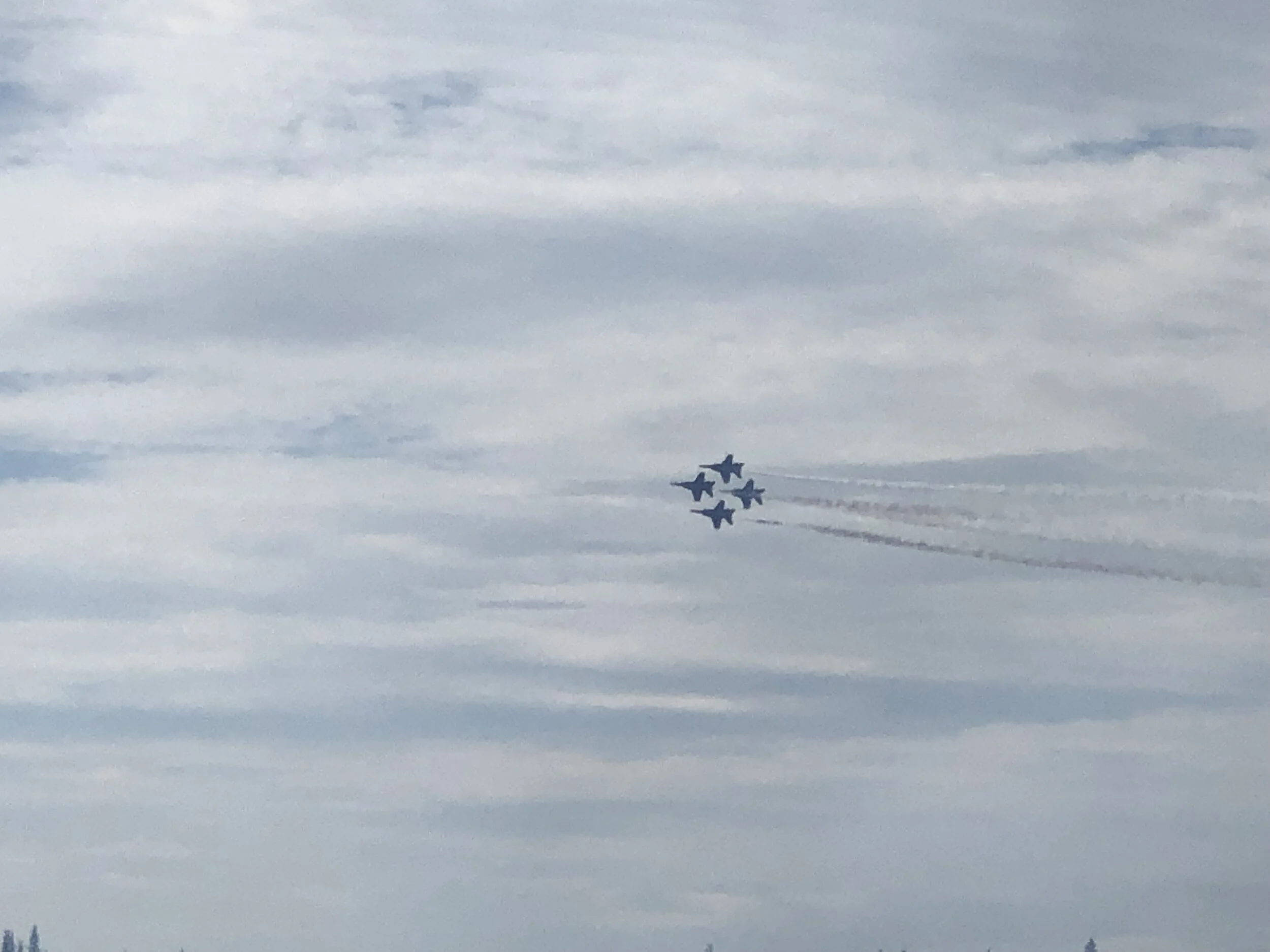 IMG_8062.jpeg