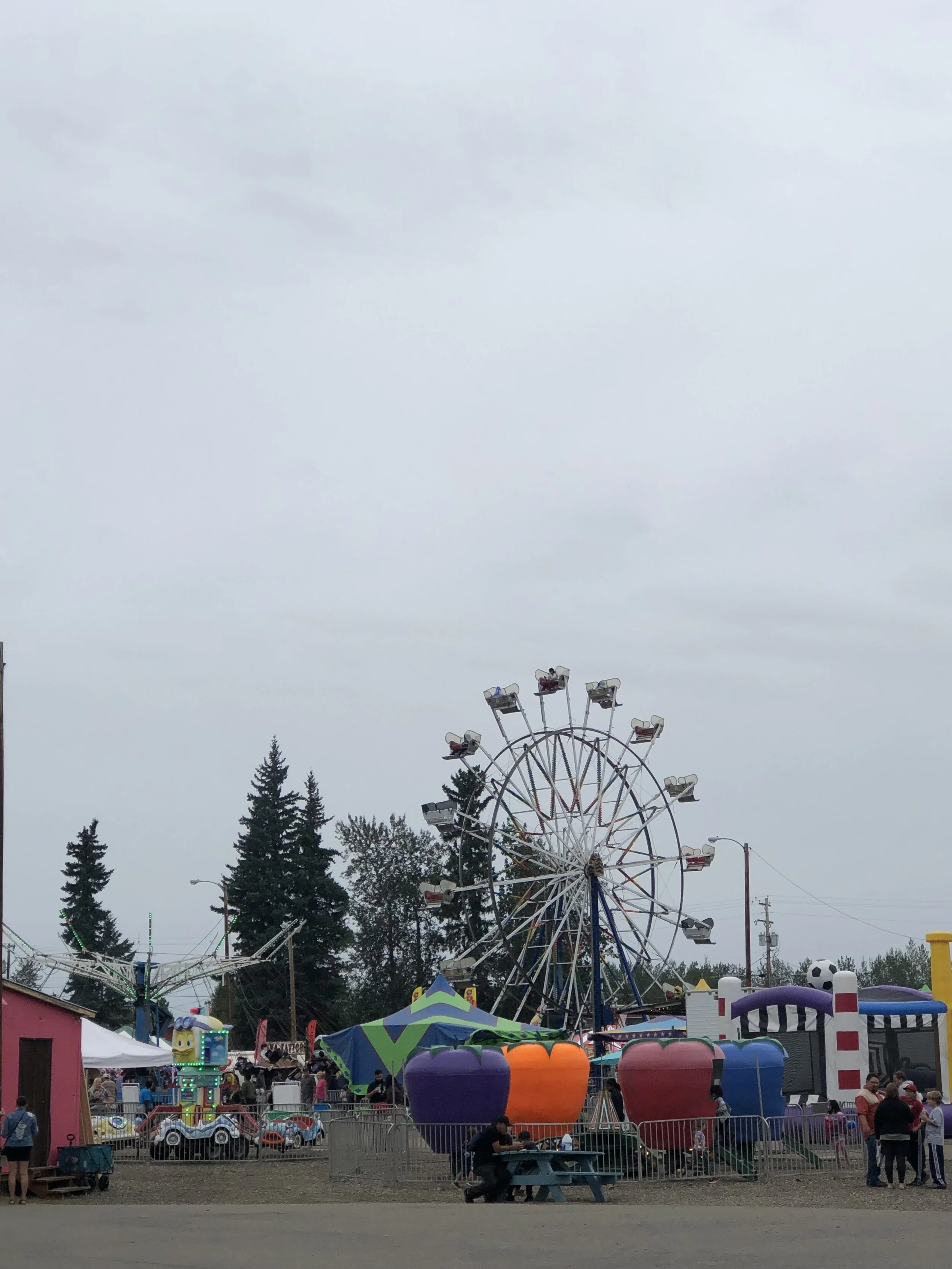 IMG_8794.jpeg