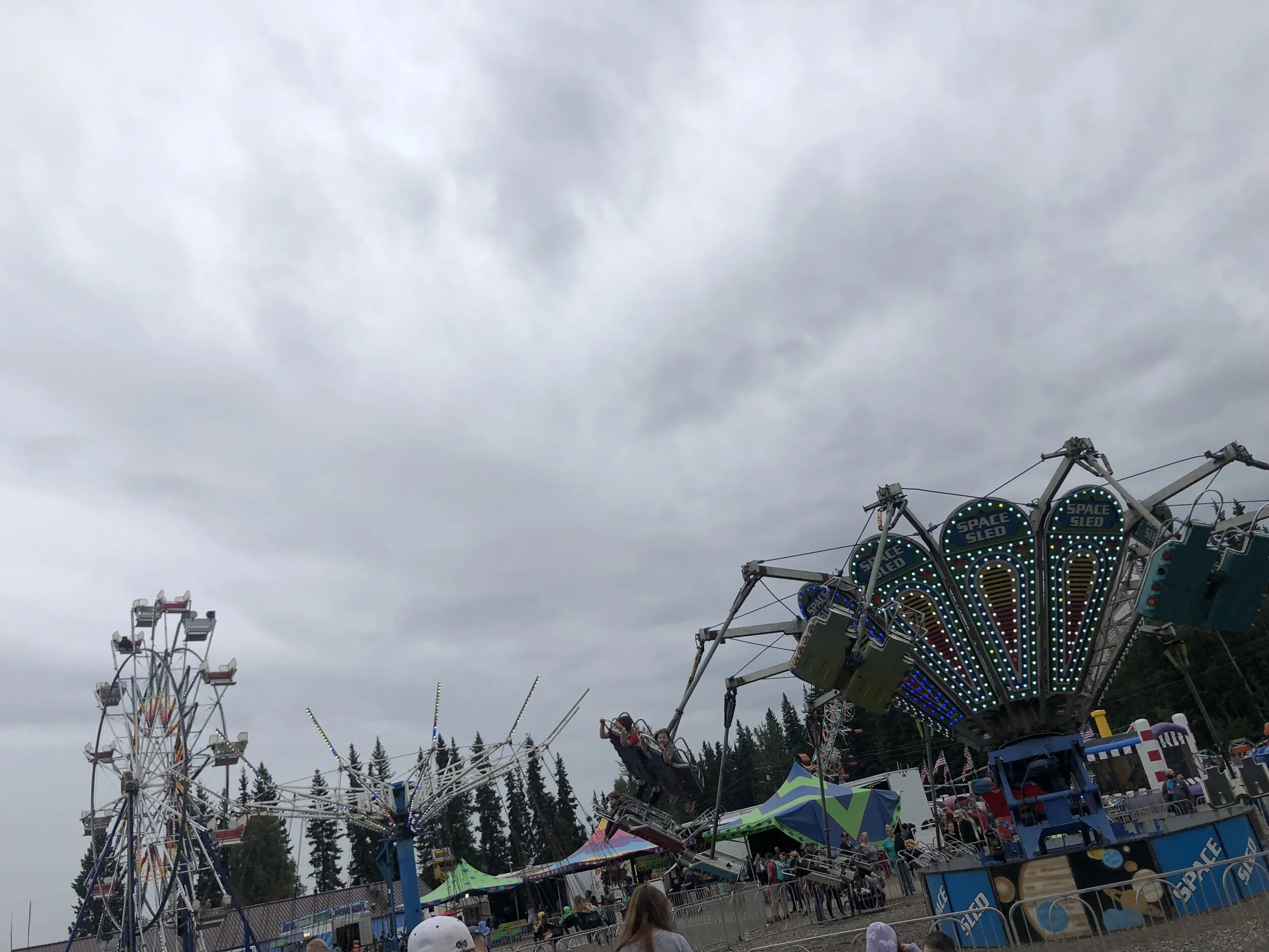 IMG_8789.jpeg