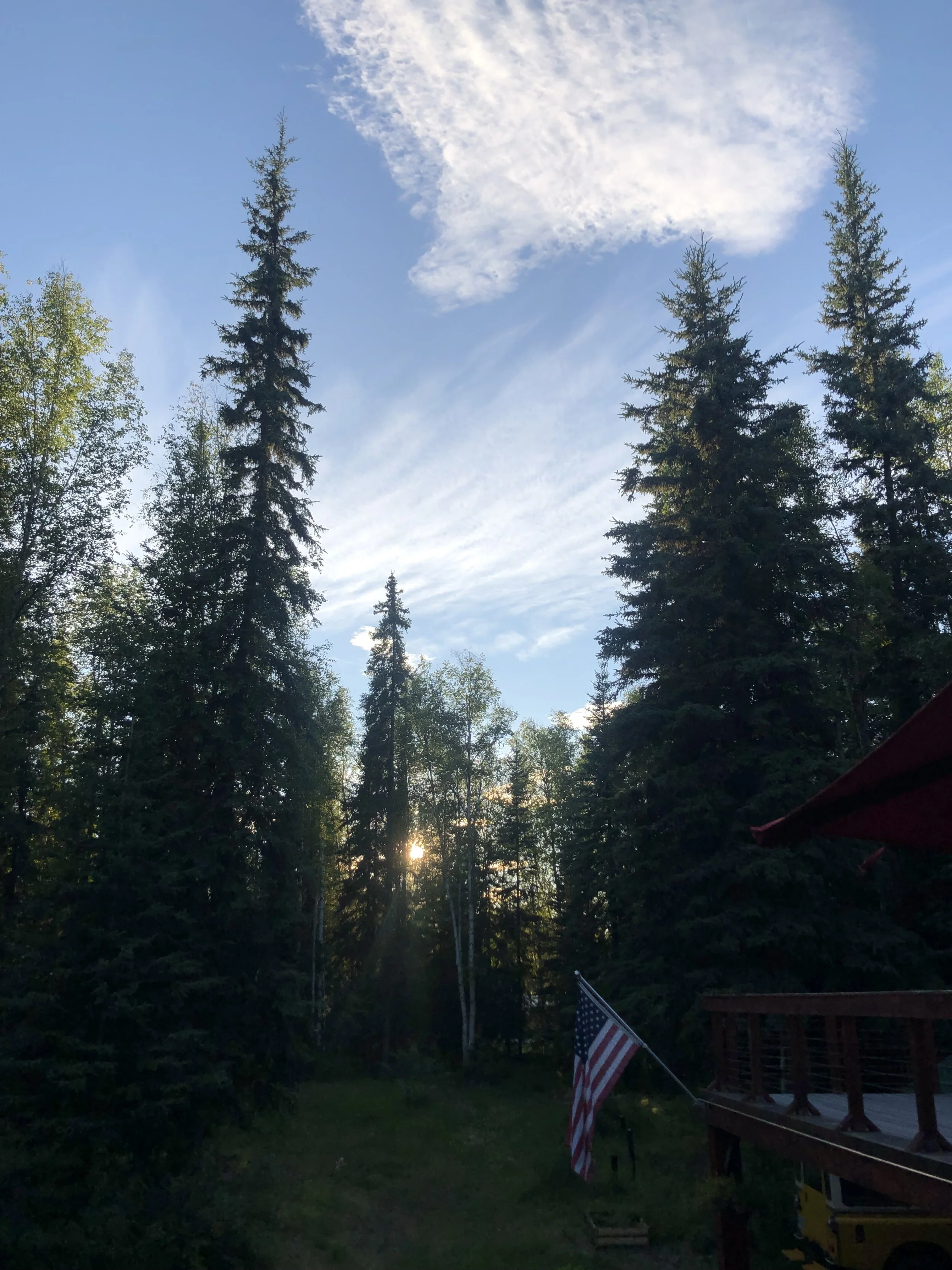IMG_8228.jpeg