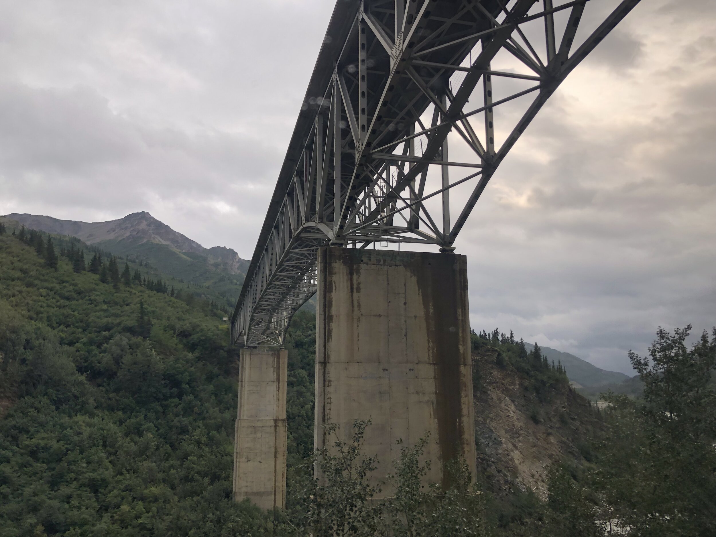 IMG_9874.jpeg