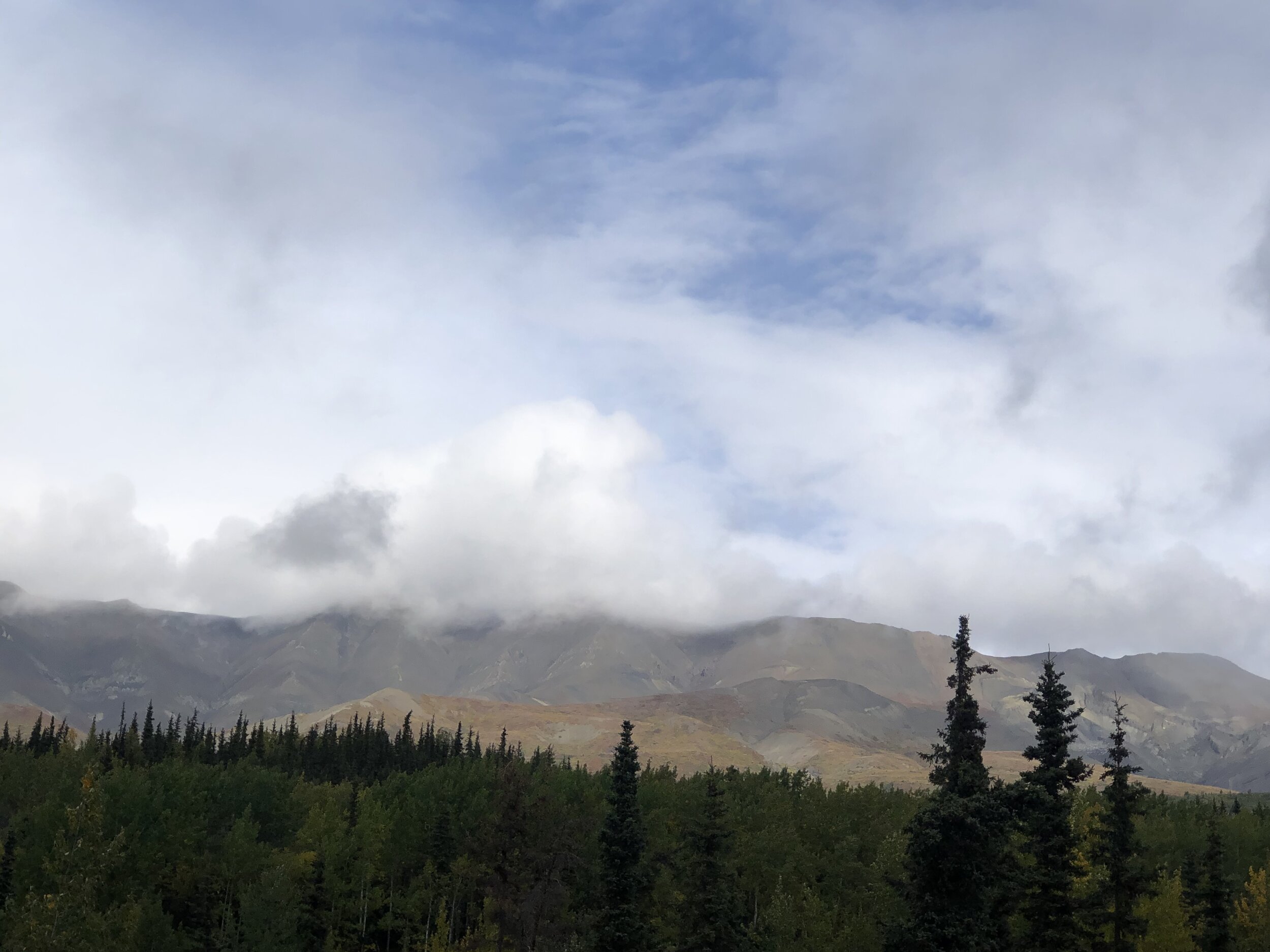 IMG_4187.jpeg