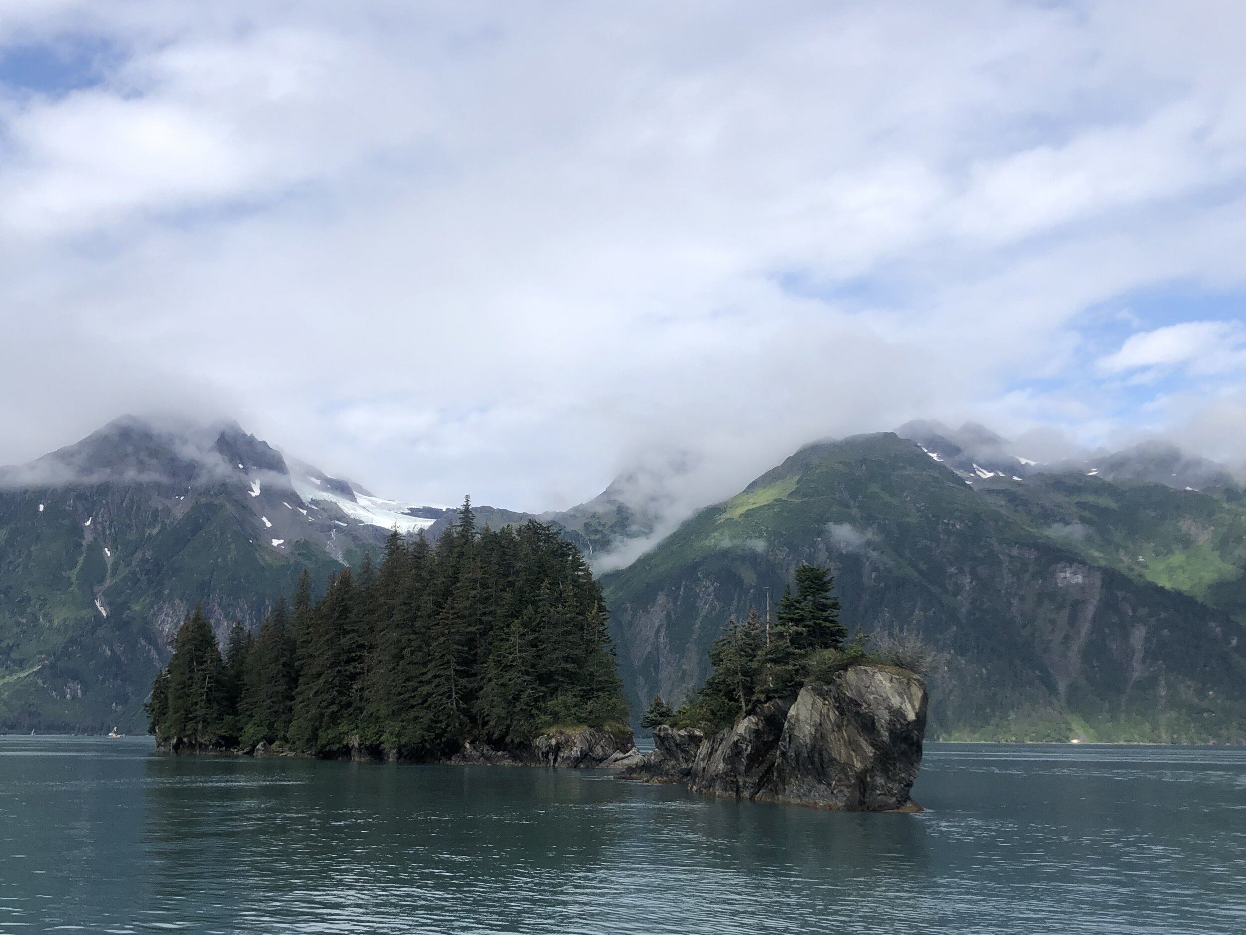 IMG_0727.jpeg