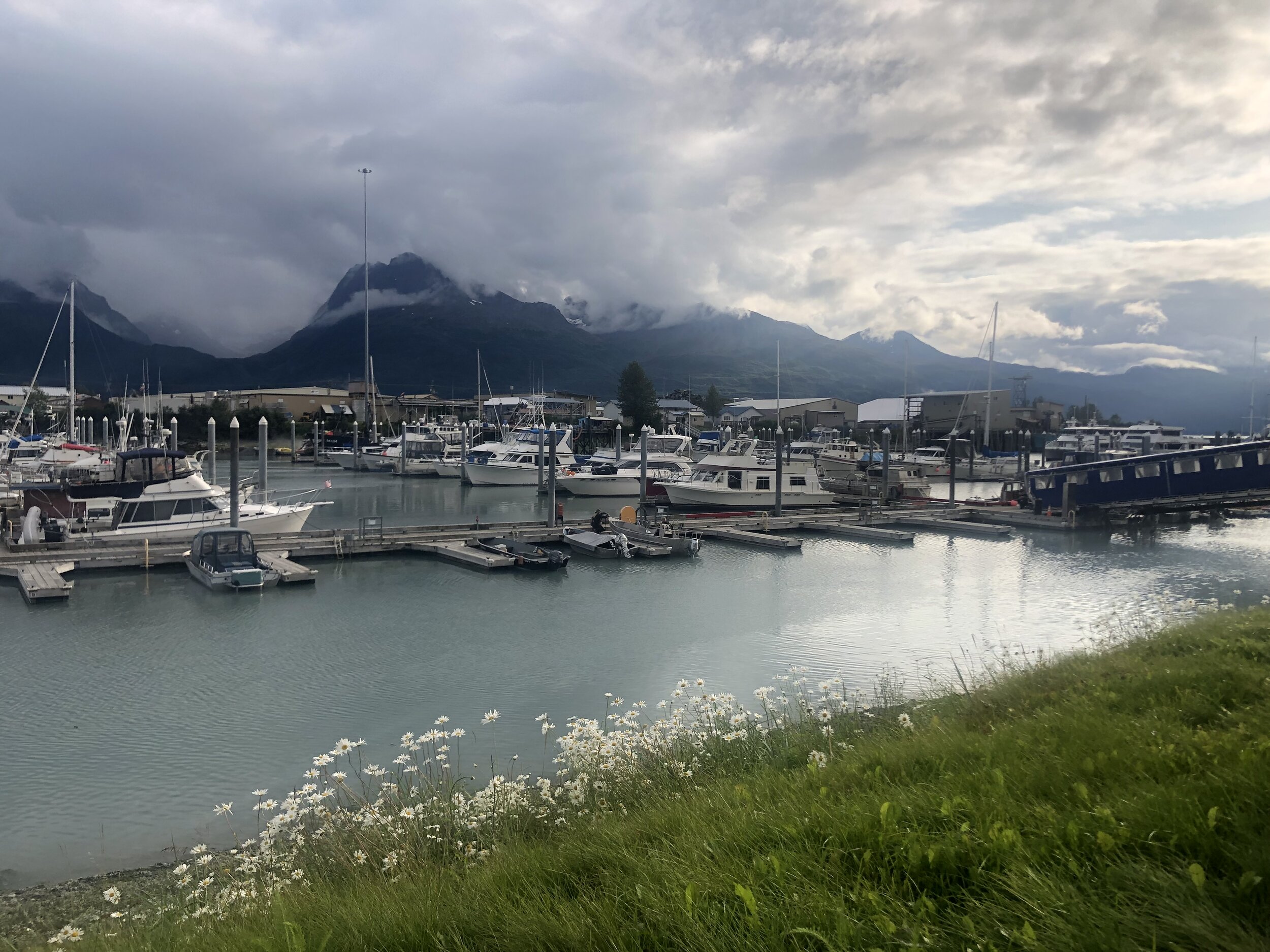 IMG_0985.jpeg