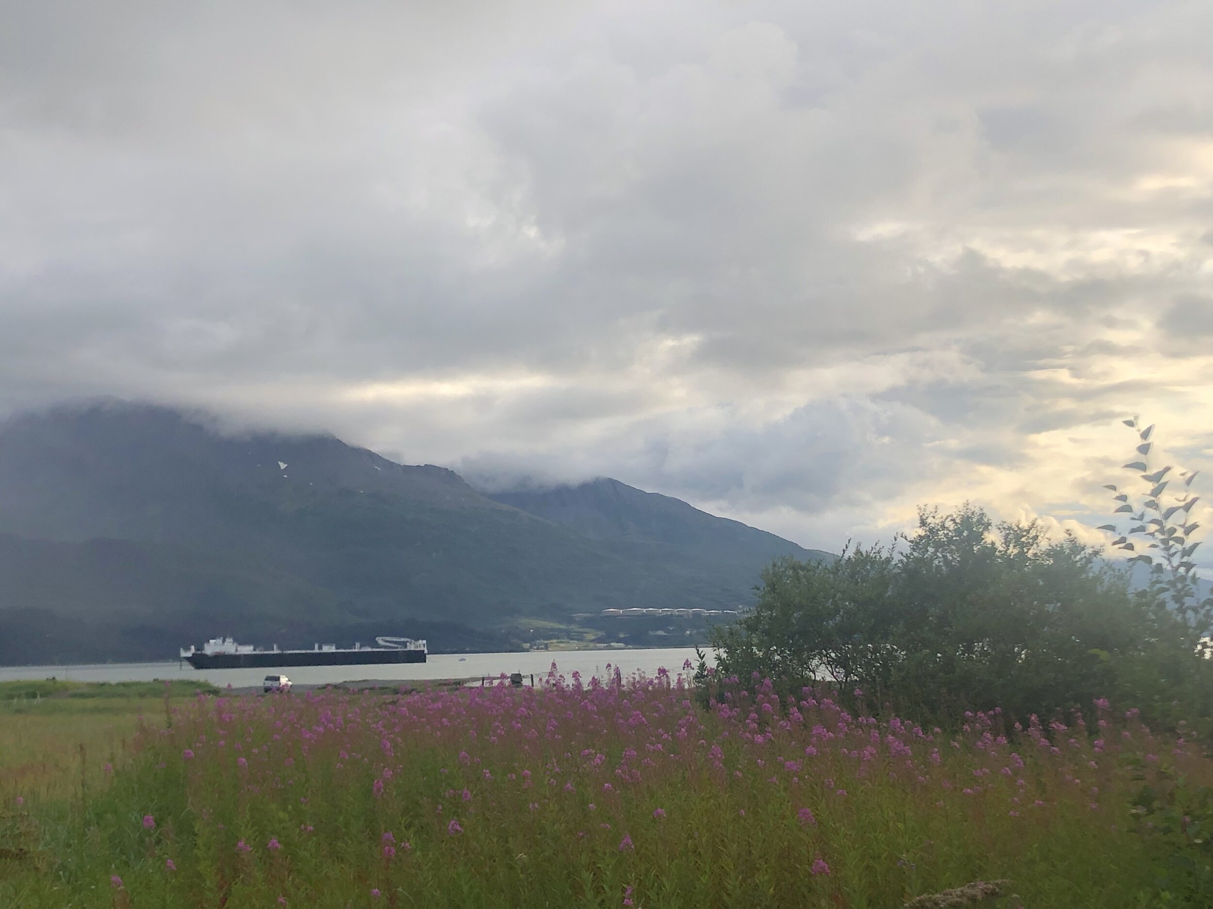 IMG_1016.jpeg