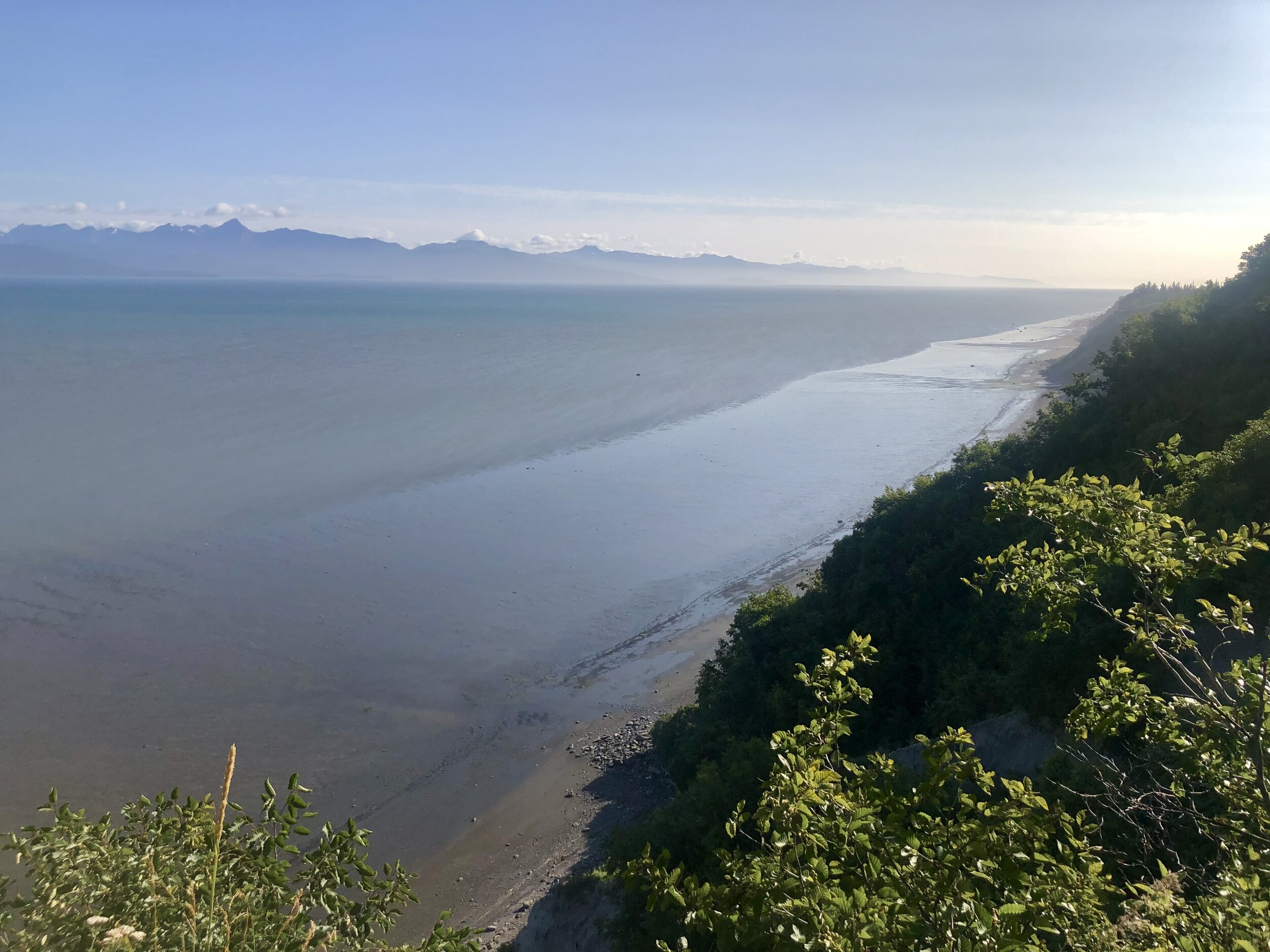 IMG_1983.jpeg