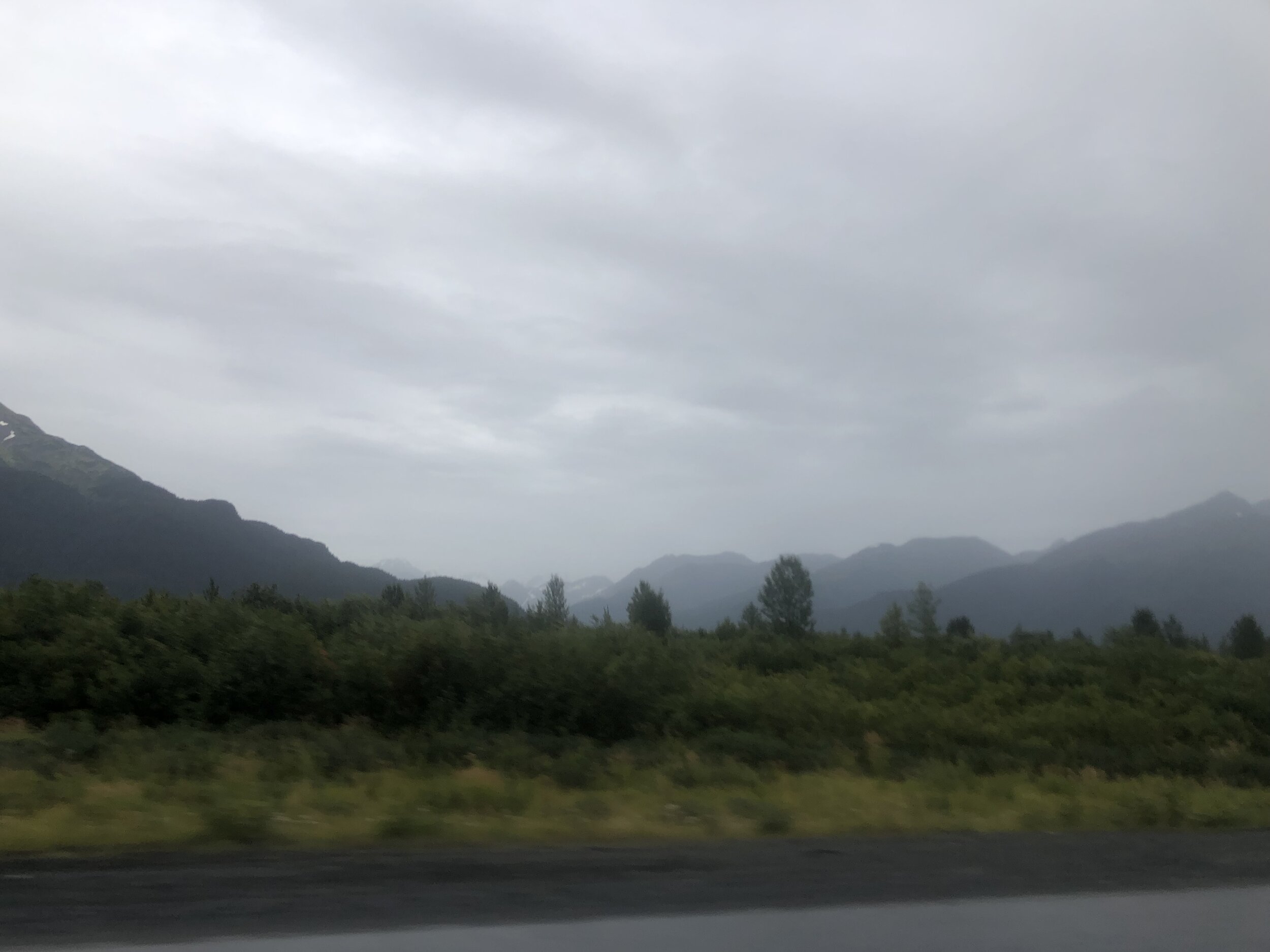 IMG_2972.jpeg