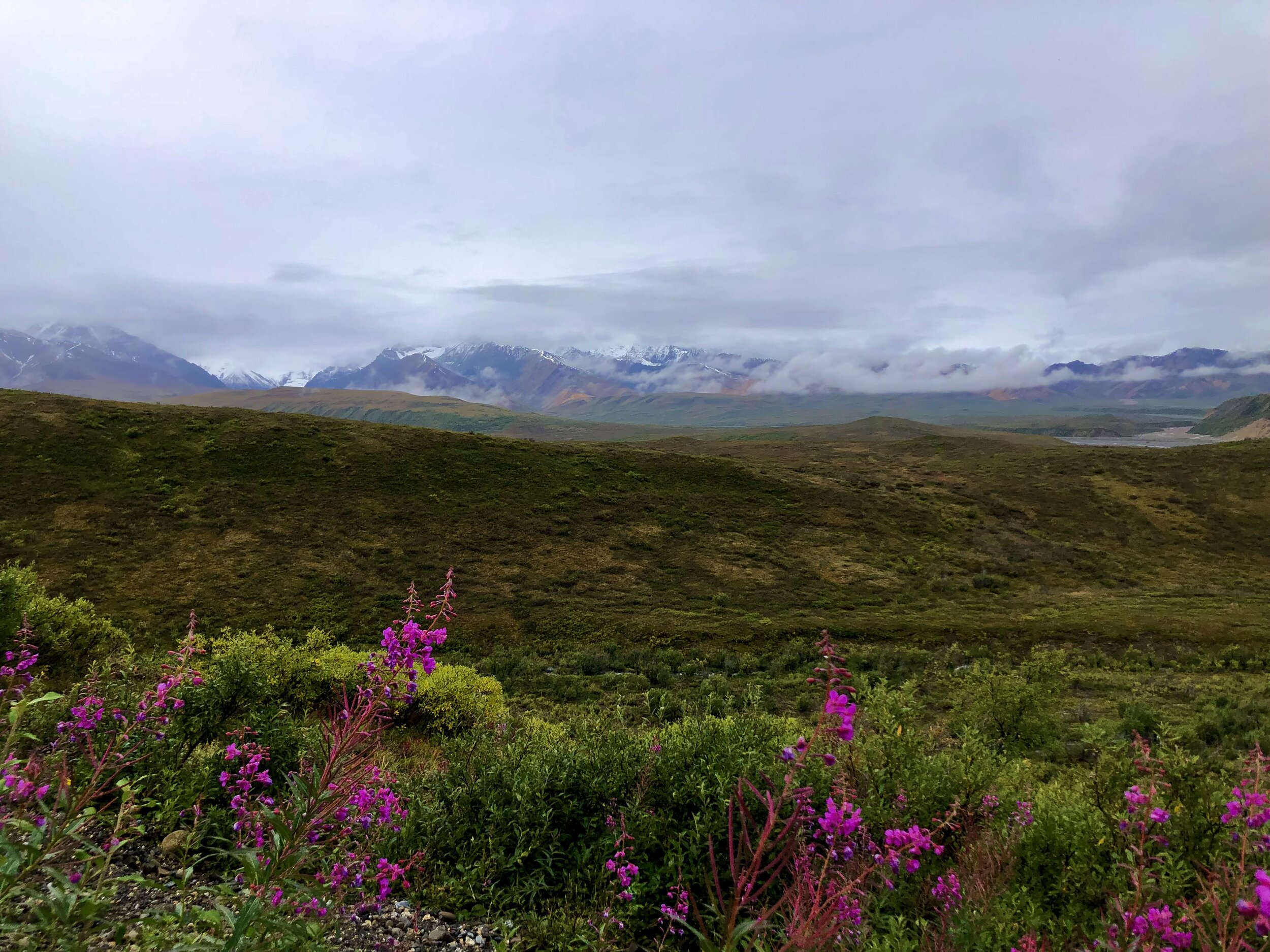 IMG_3137.jpeg