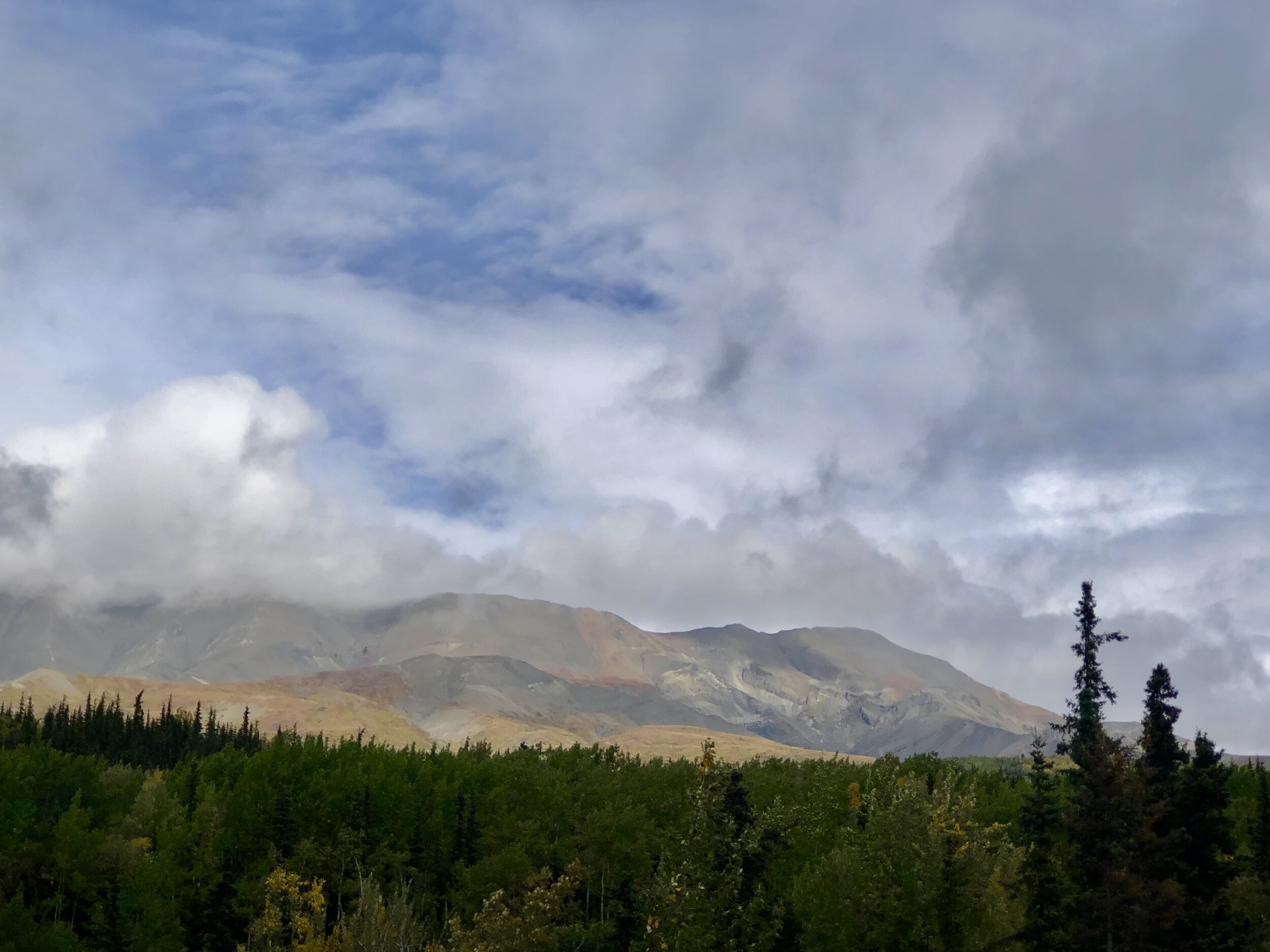 IMG_4188.jpeg