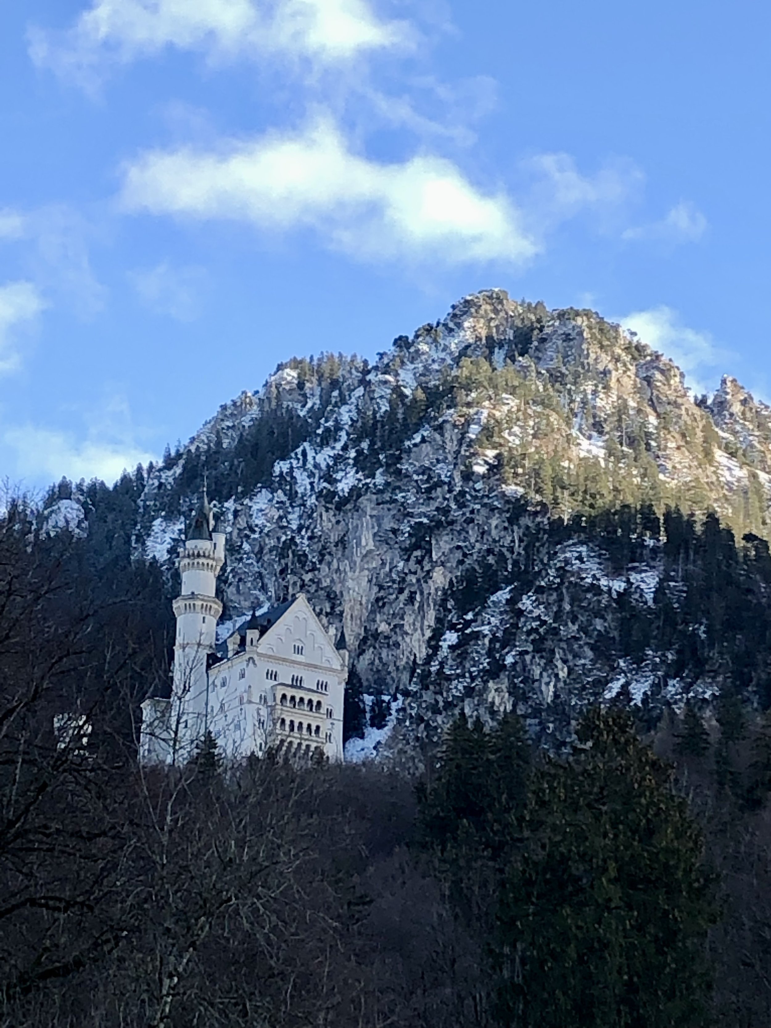 IMG_3736.jpeg