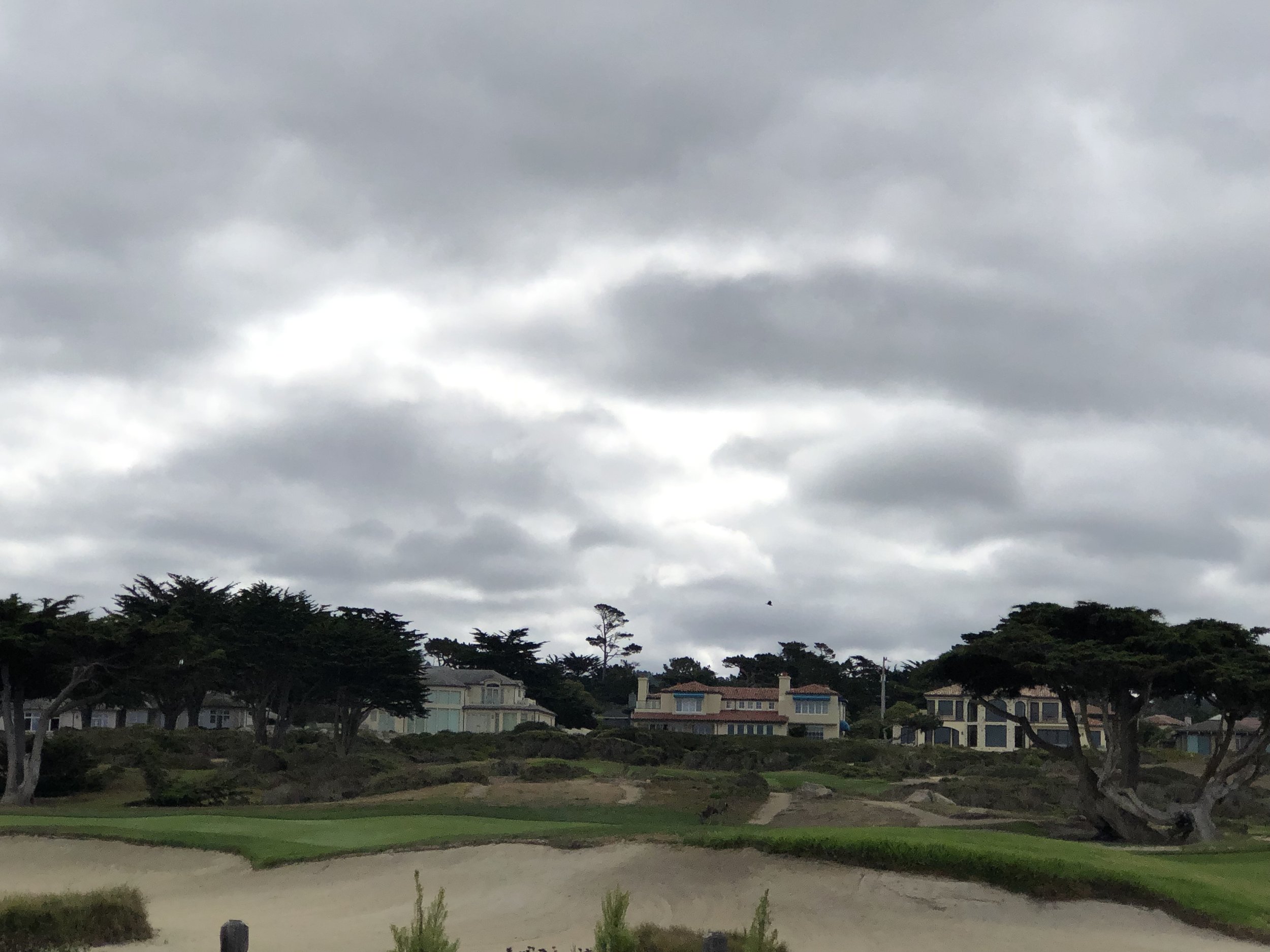 IMG_7927.jpeg