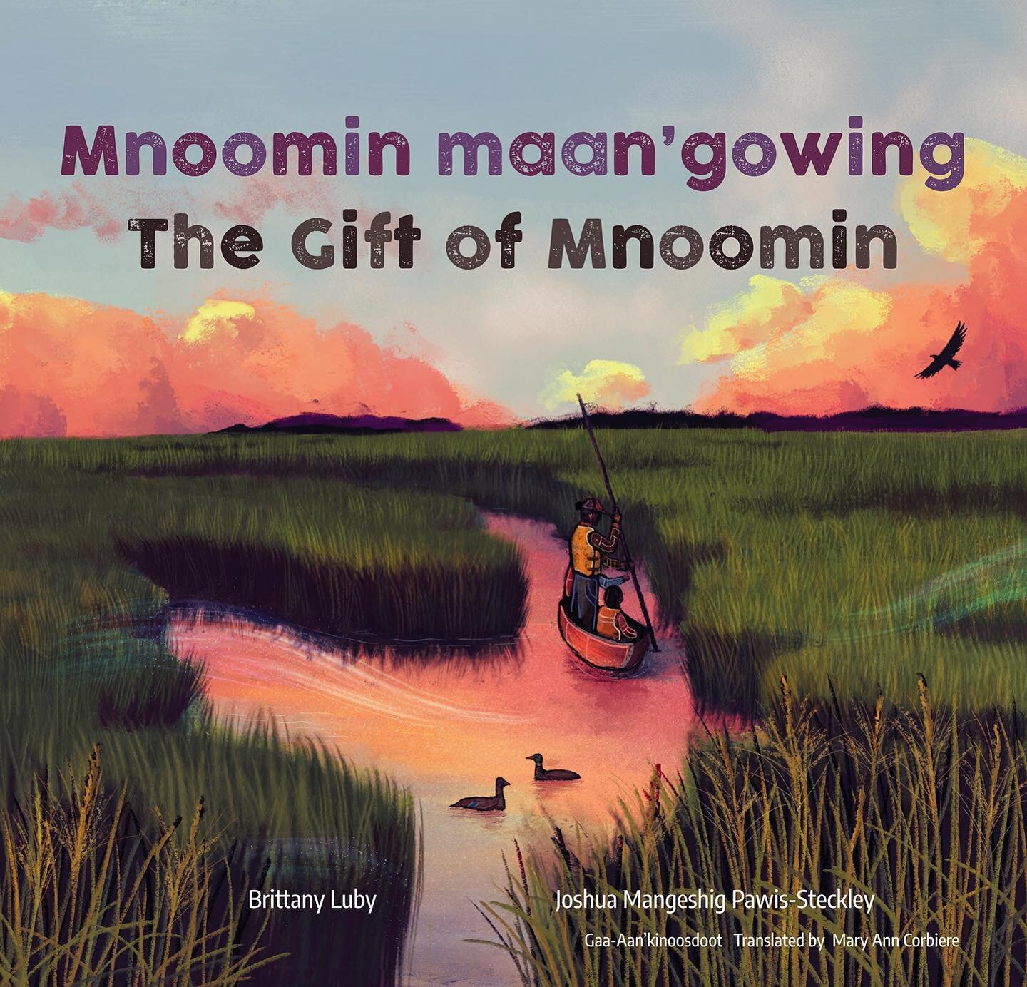 Mnoomin Maan&rsquo;gowing is hitting the shelves today! Happy book birthday 🎉 hope you all  get a chance to enjoy it!!