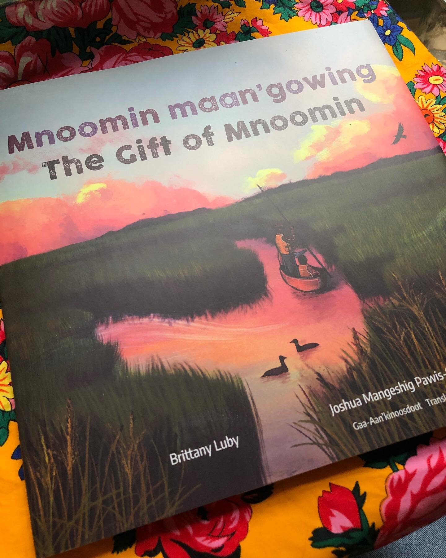 Advance copy of Mnoomin Maan&rsquo;gowing came in the mail! Such a pleasure to be able to work with both @britt.luby and @groundwoodbooks again. Looking forward to when these hit the shelves and you all can get one in your hands! Available for pre-or