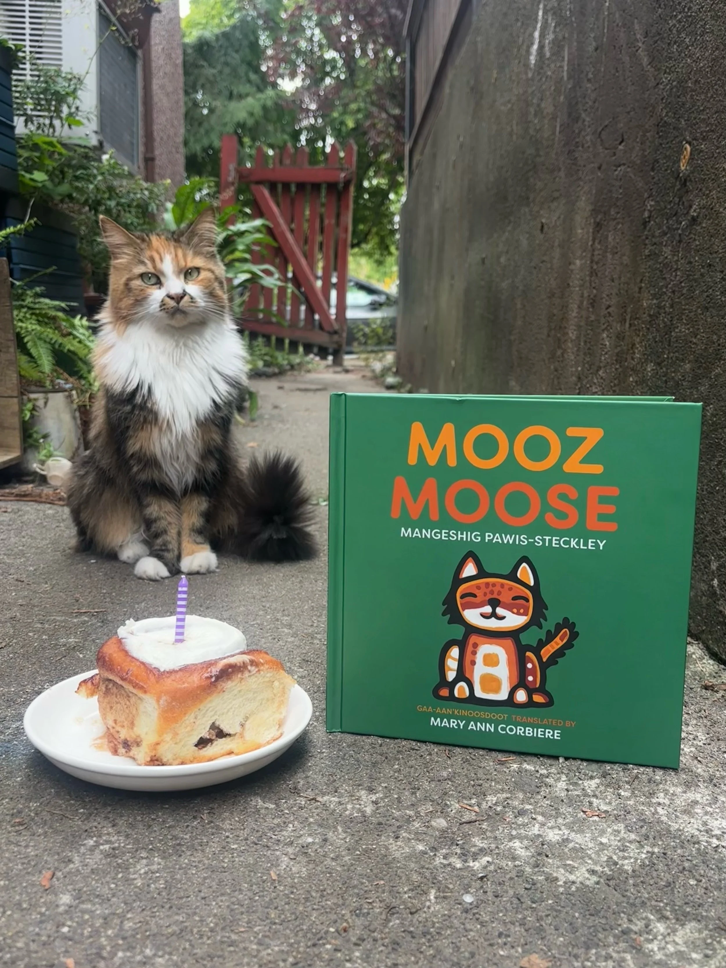 Mooz is happy to celebrate her book birthday! MOOZ/MOOSE out now! 🧁