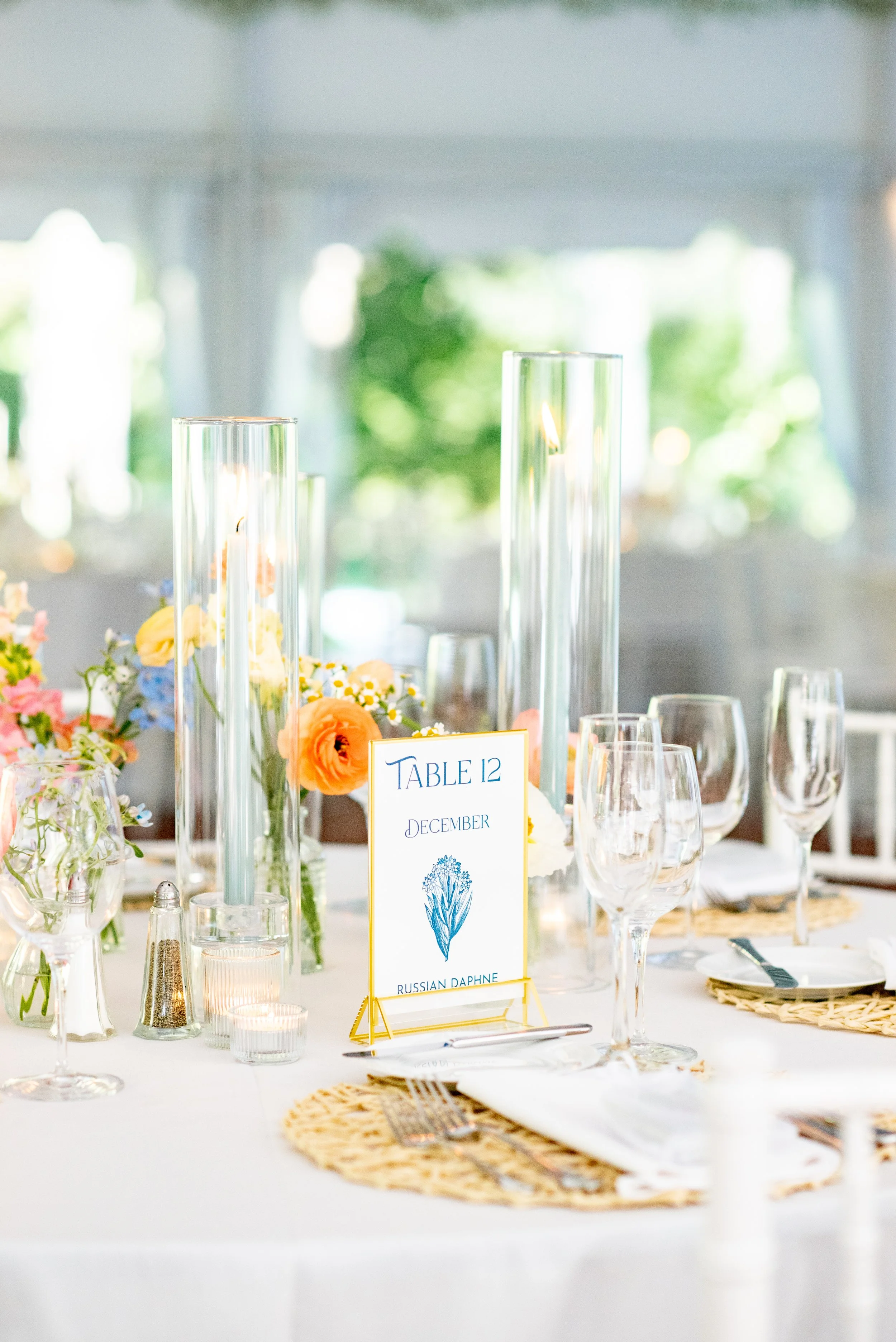 Place setting tent wedding