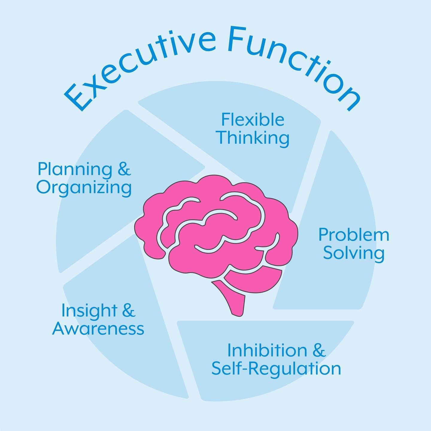 Children who have difficulty staying organized, planning for assignments/tests and building upon previously learned concepts will find school extremely challenging. All of these tools are essential for learning well. Our executive functioning tutors 