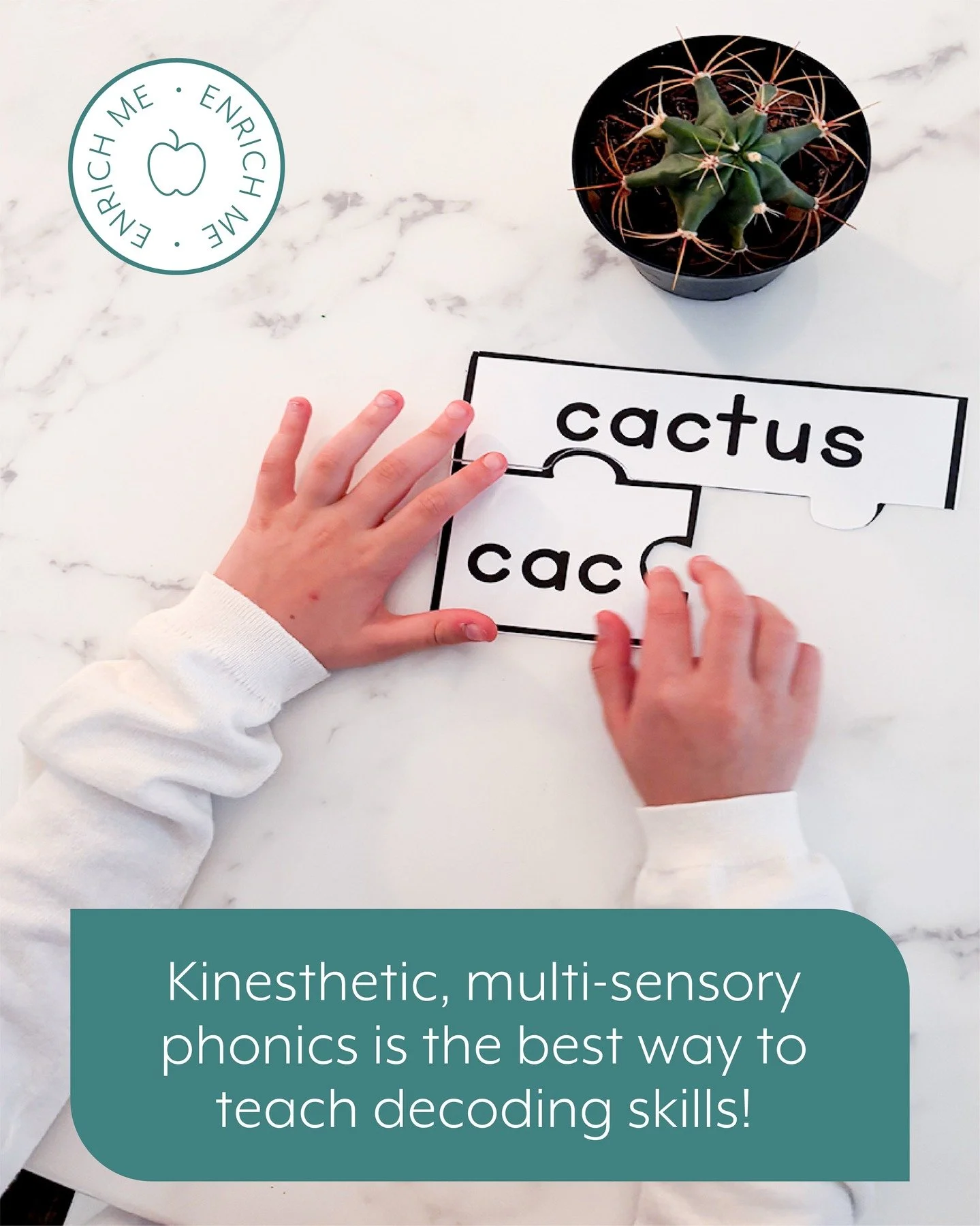 These puzzles along with the physical representation of a cactus teach children how to segment sounds and blend closed syllables together to make a word. This is the first of our syllabication patterns: VCCV or RABBIT
.
.
.
.
#imse #ortongillingham