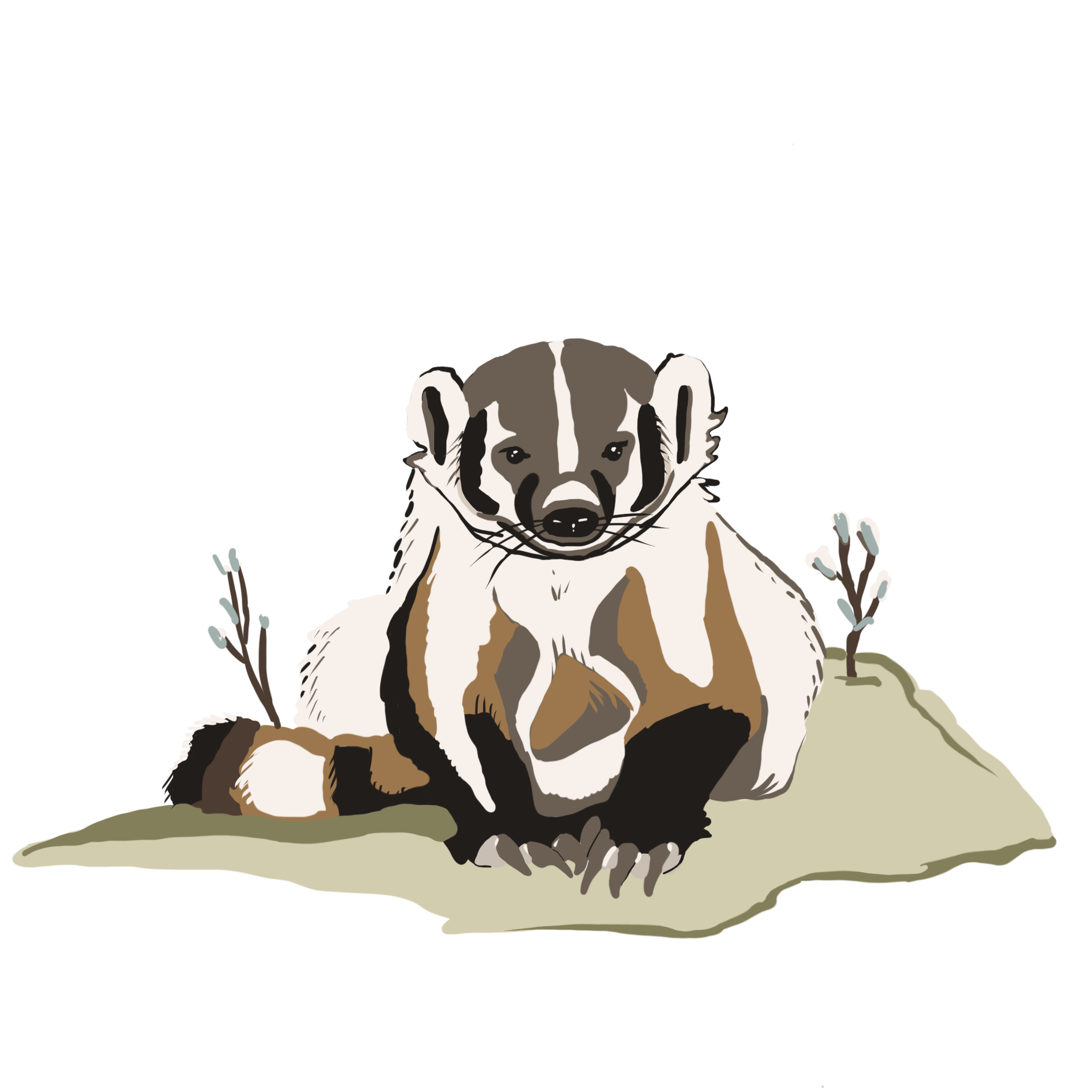 Badger with Plants.png