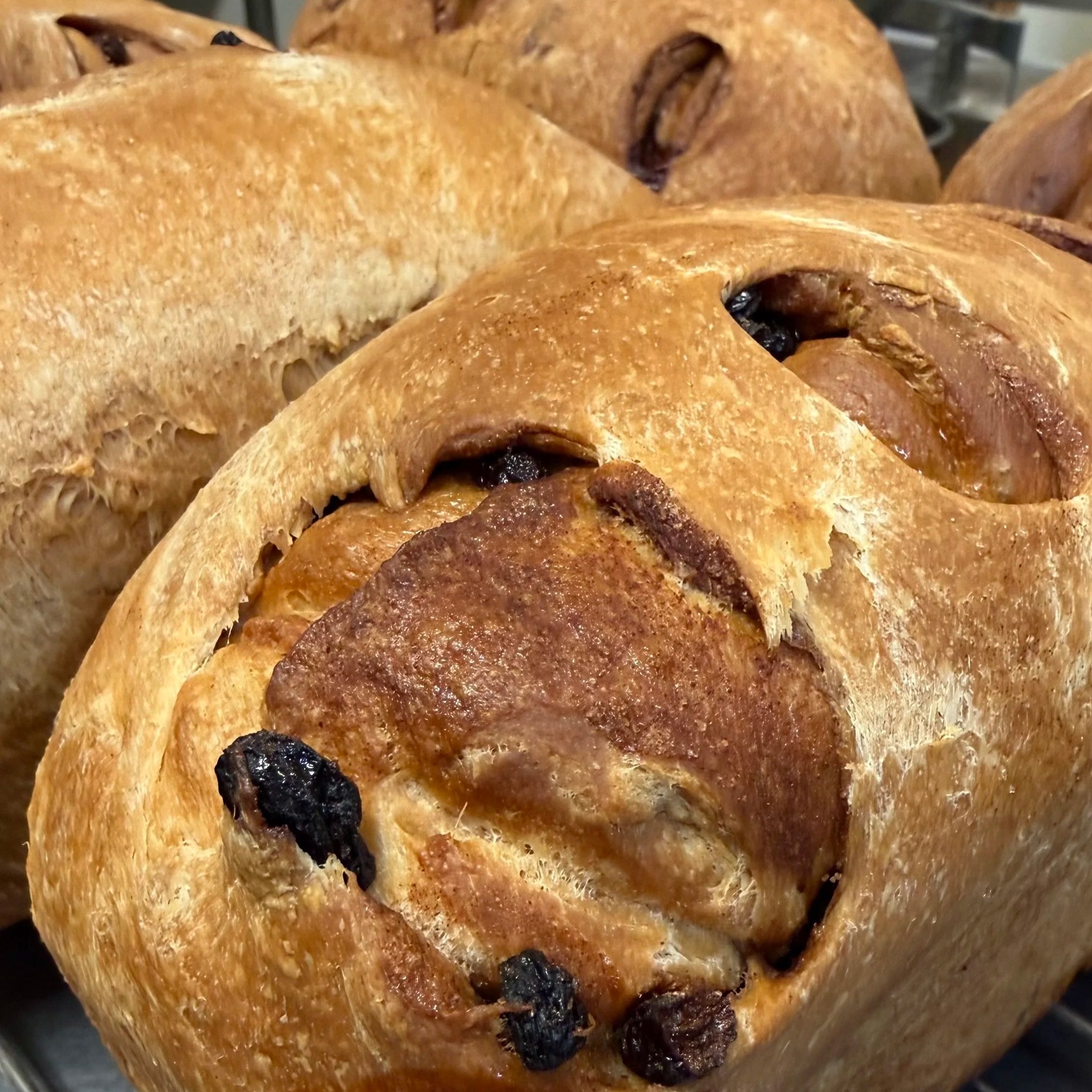 Close-up of freshly baked hot cross buns with raisins and a golden-brown crust.
