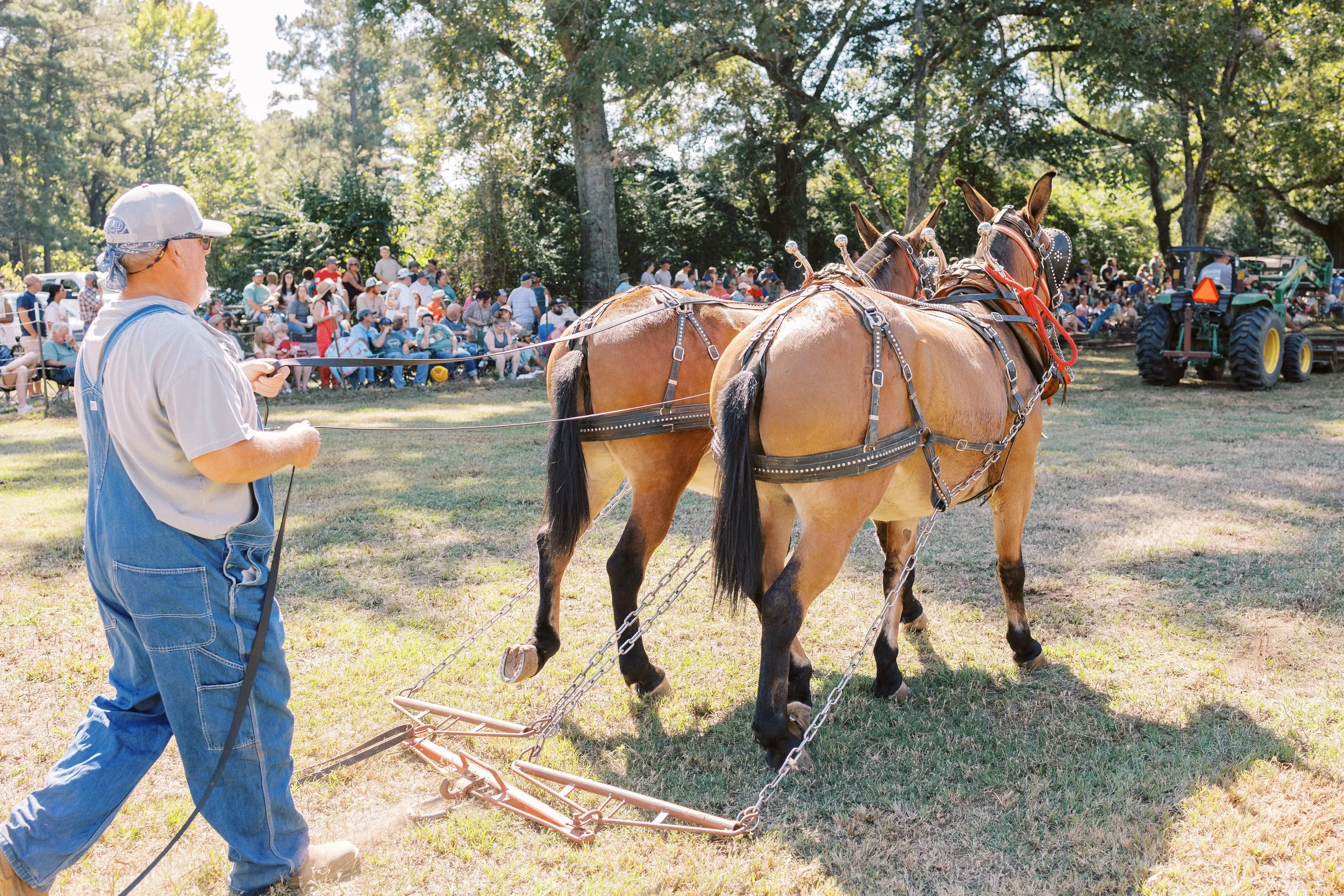 Pecan Festival 2025-20250927-354.jpg
