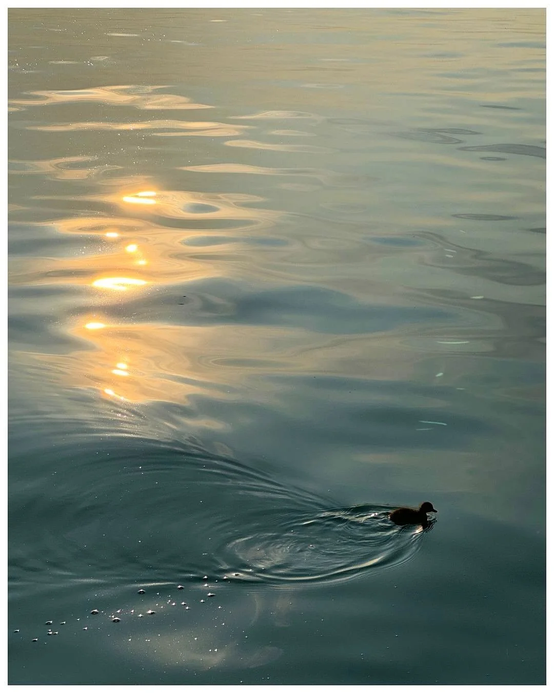 Si me hubieran dicho que alguien alg&uacute;n d&iacute;a iba a querer comprar una fotograf&iacute;a tomada por mi, que iba a querer colgarla en su casa, convivir con ella todos los d&iacute;as&hellip; no lo hubiera cre&iacute;do. No porque no so&ntil