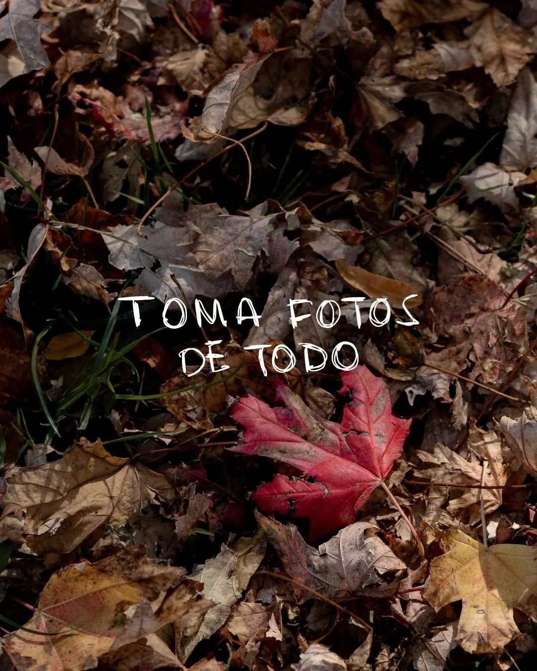 Peque&ntilde;o recordatorio. 😌✨