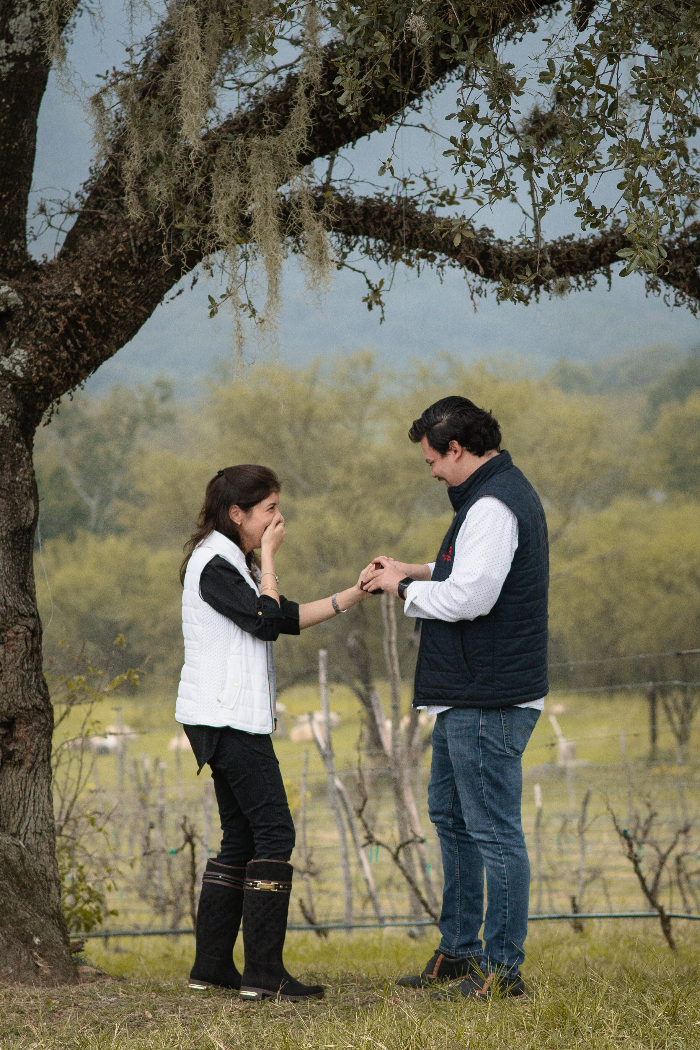 Entrega Anillo
