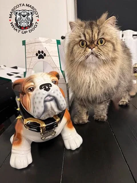 "MOUCH" Mascota Tequila Mascot