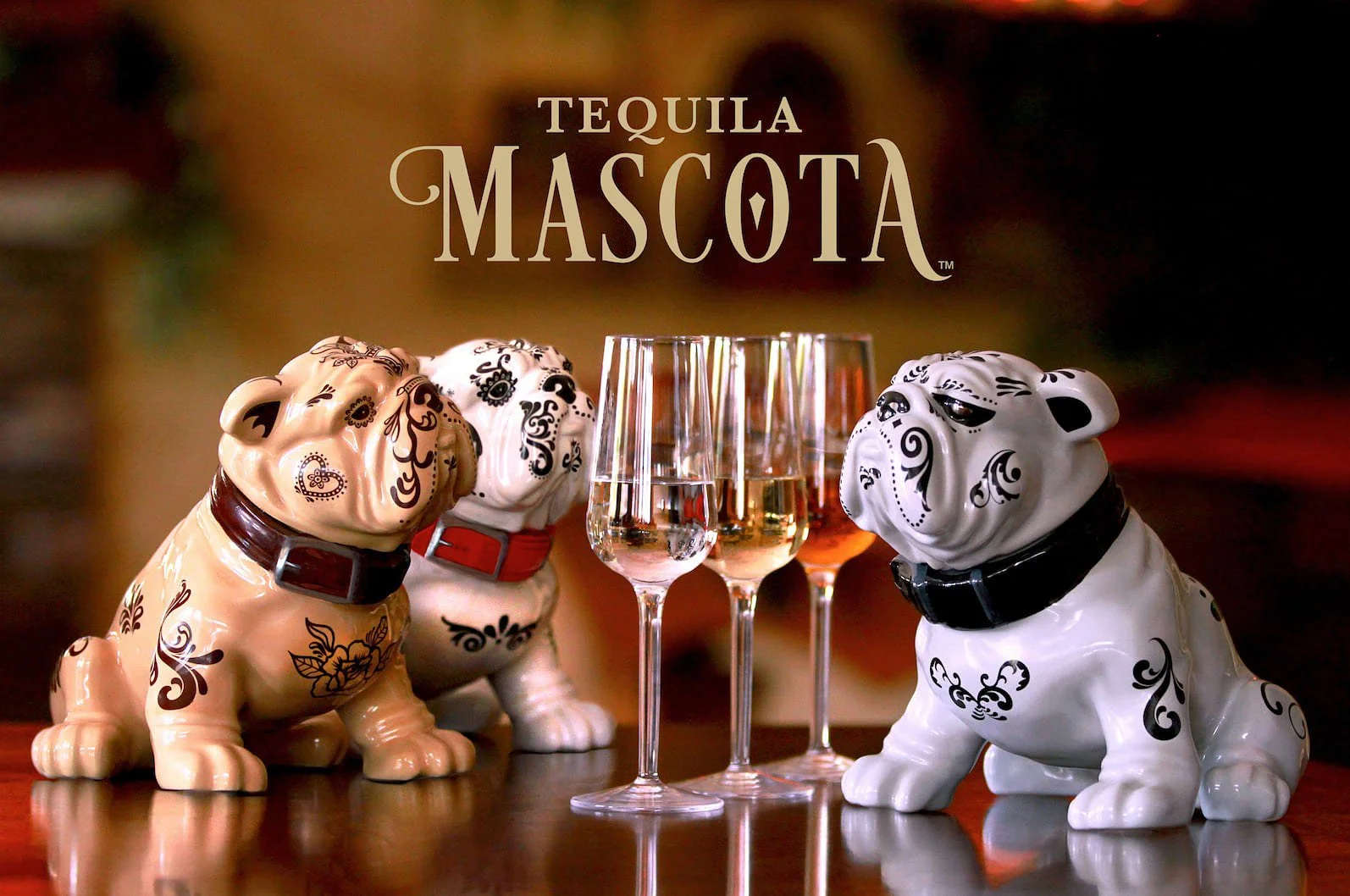 About — MASCOTA TEQUILA