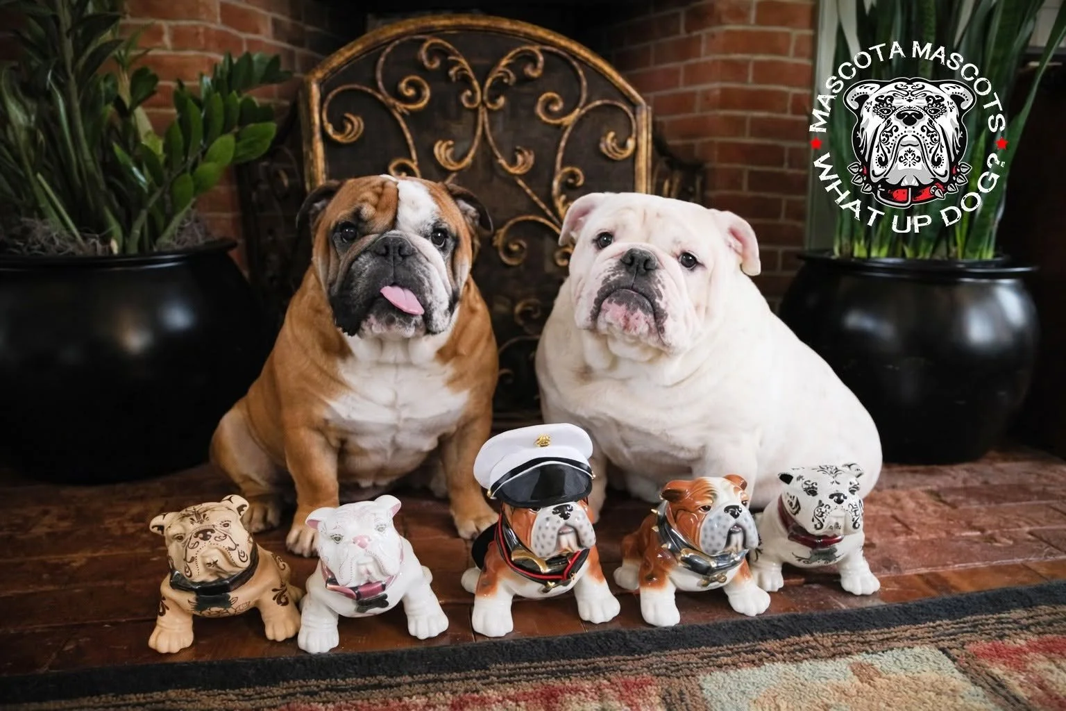 "STANLEY" & "OLIVER" Mascota Tequila & Mascota Bourbon Mascots