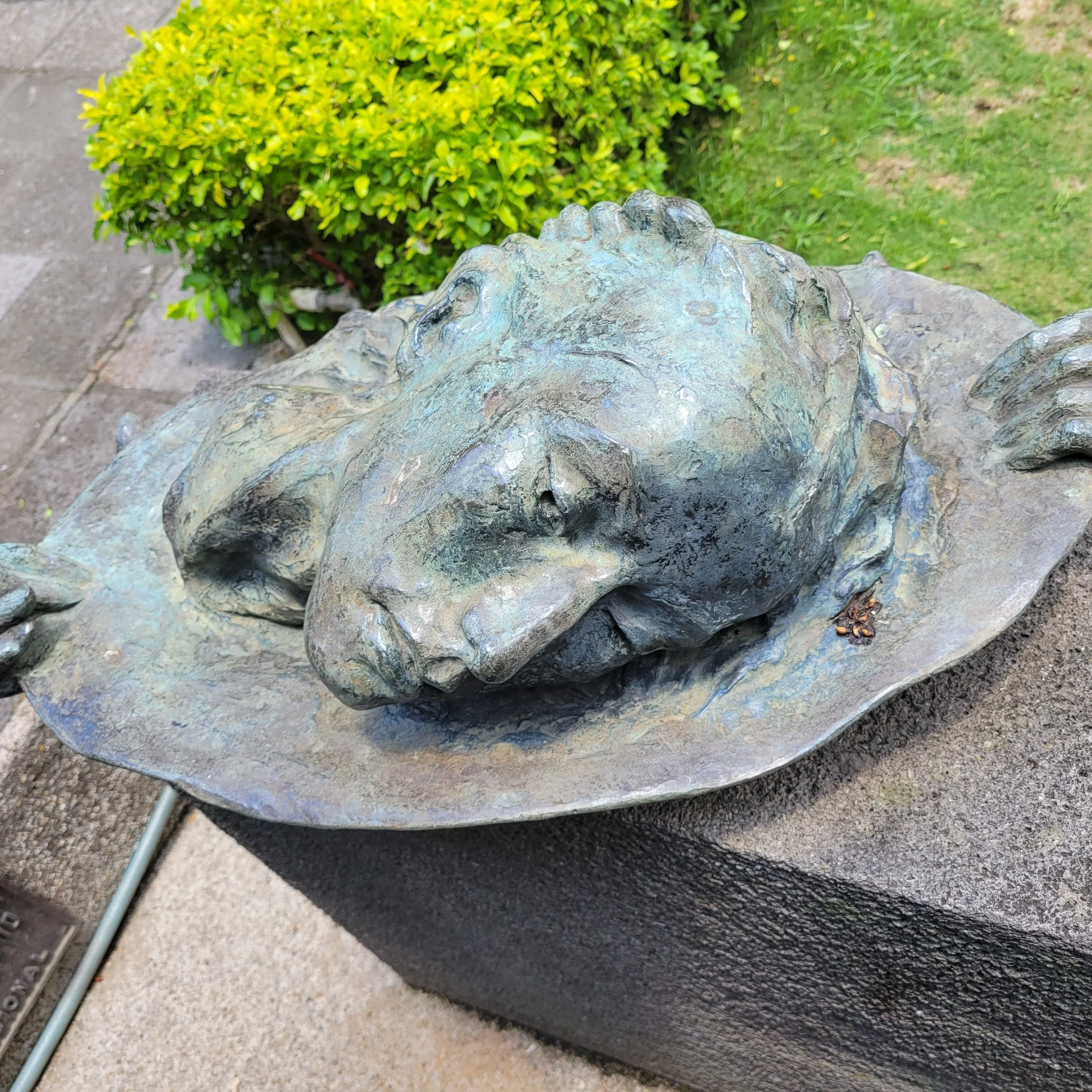 Lost Horizons and Googly Books