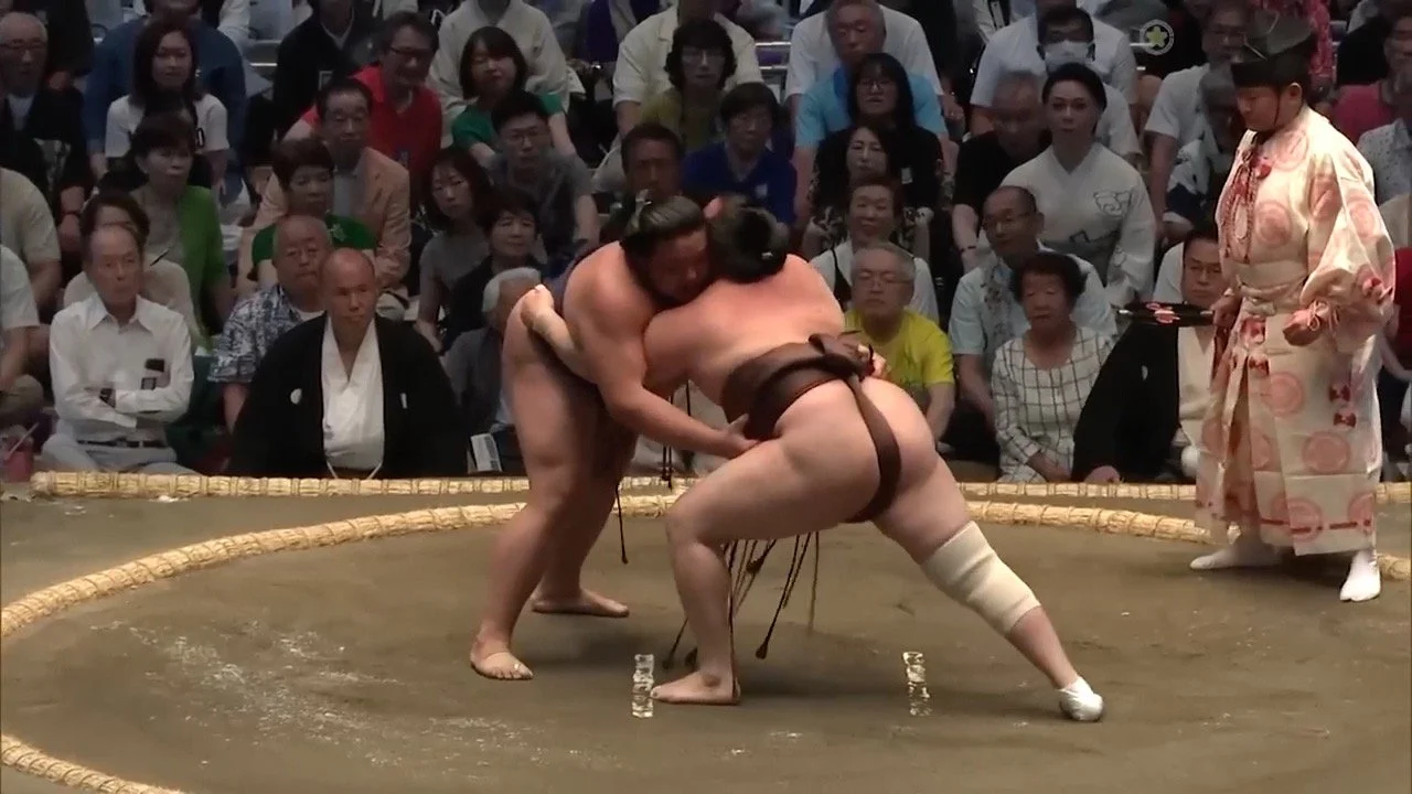 Sumo