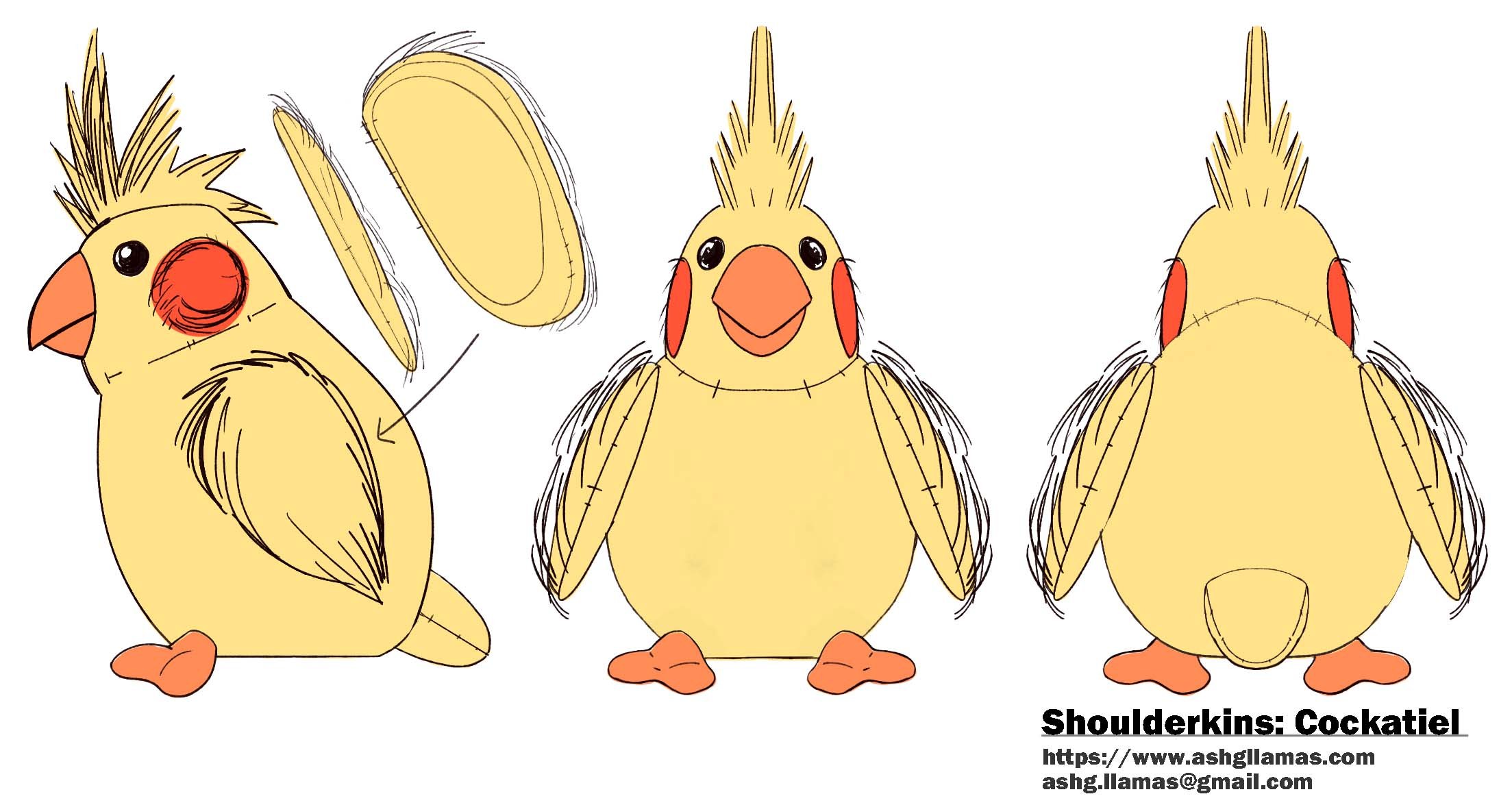 ShoulderKinColor.jpg
